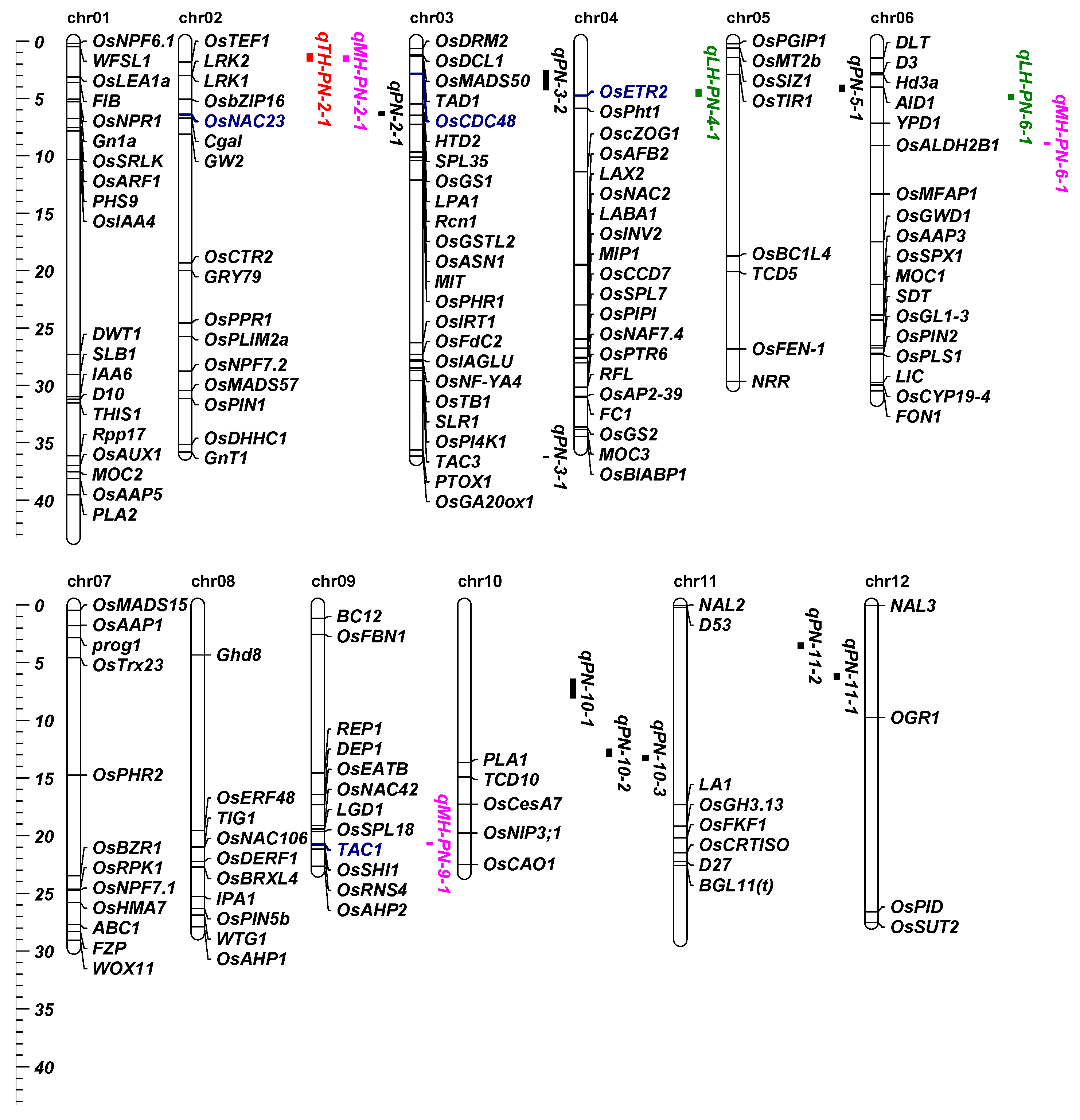 Agronomy 12 02171 g002