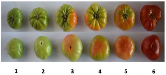 Agronomy 12 02178 g0a1 550