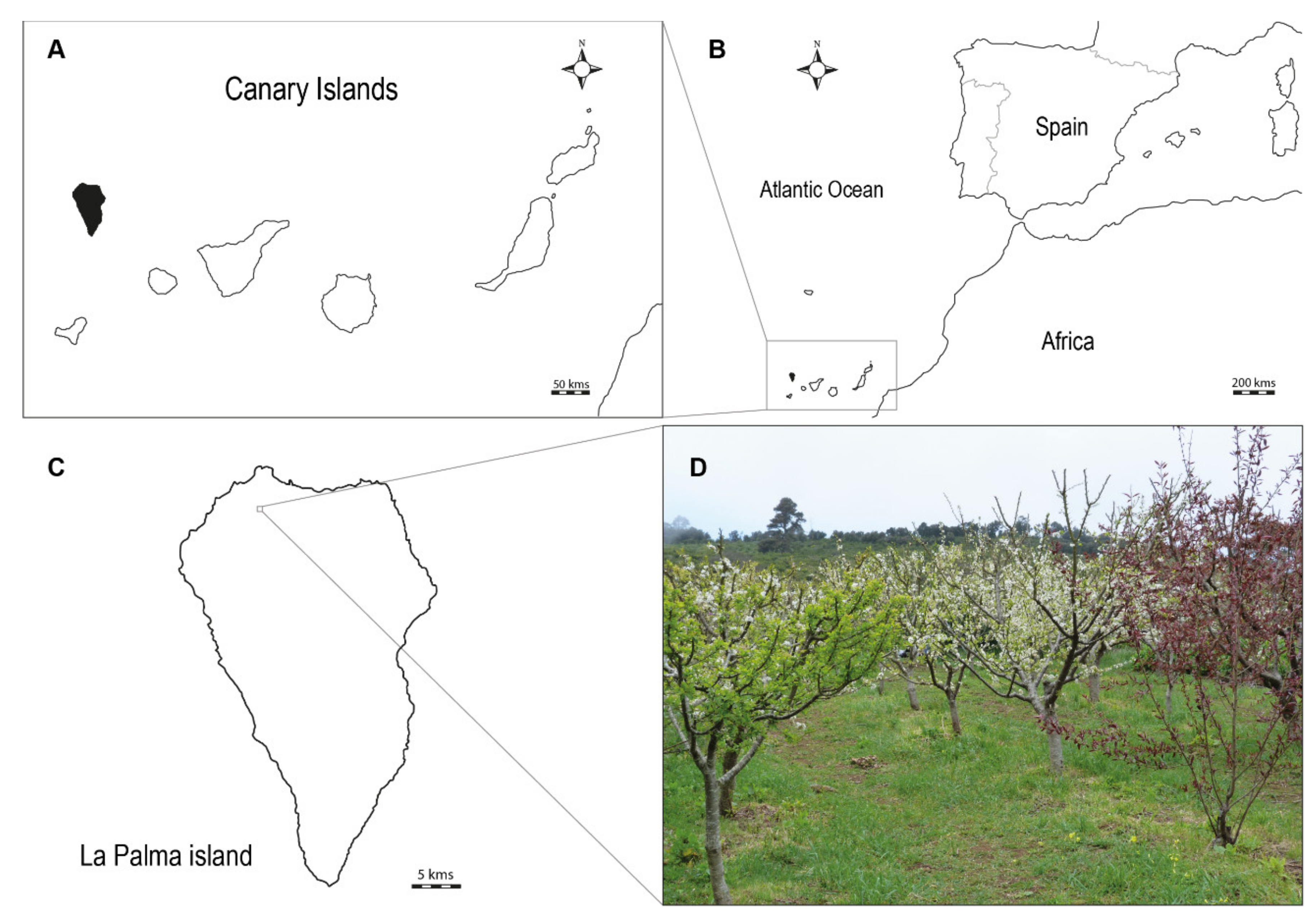 Agronomy 12 02179 g001