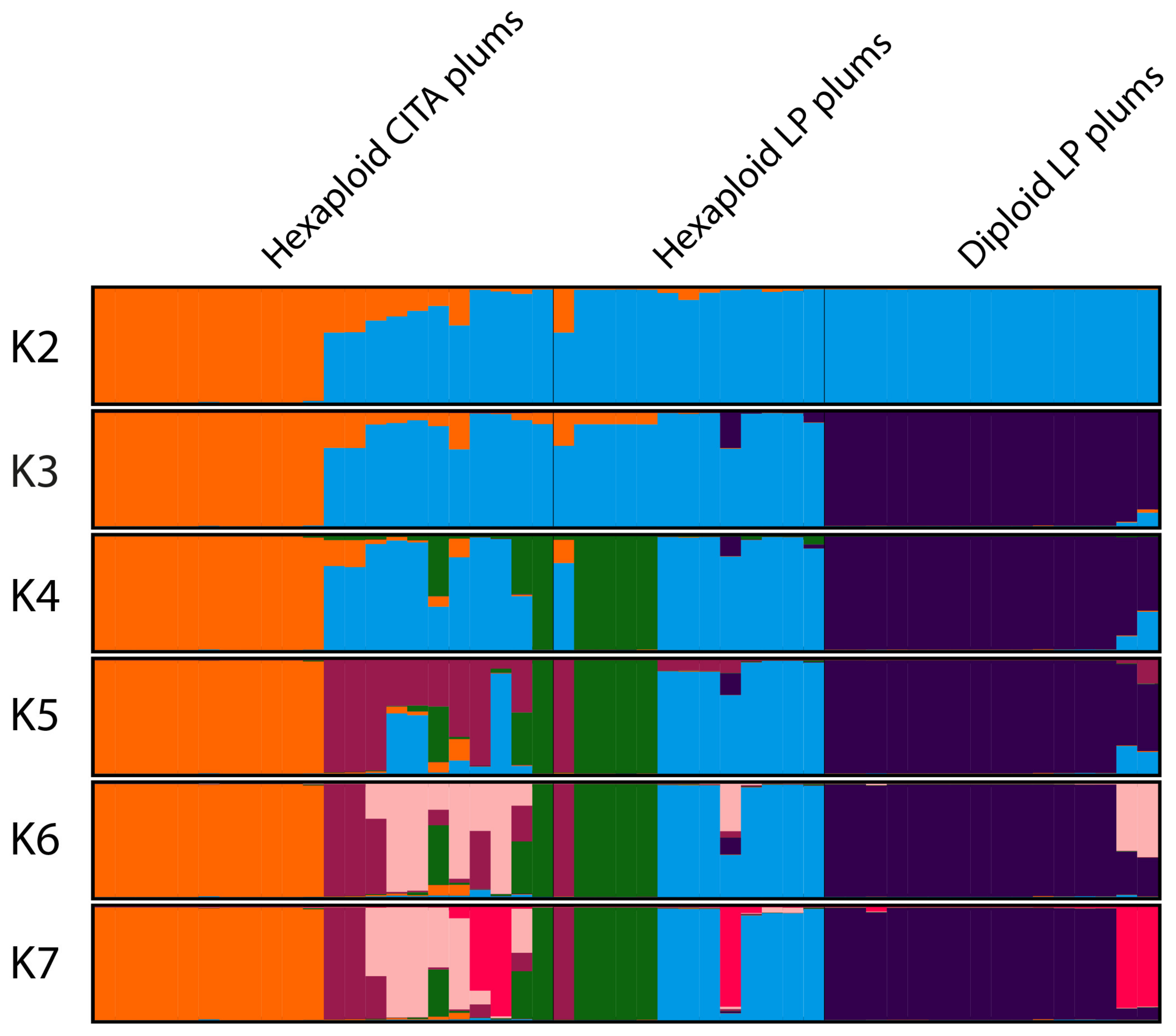 Agronomy 12 02179 g004