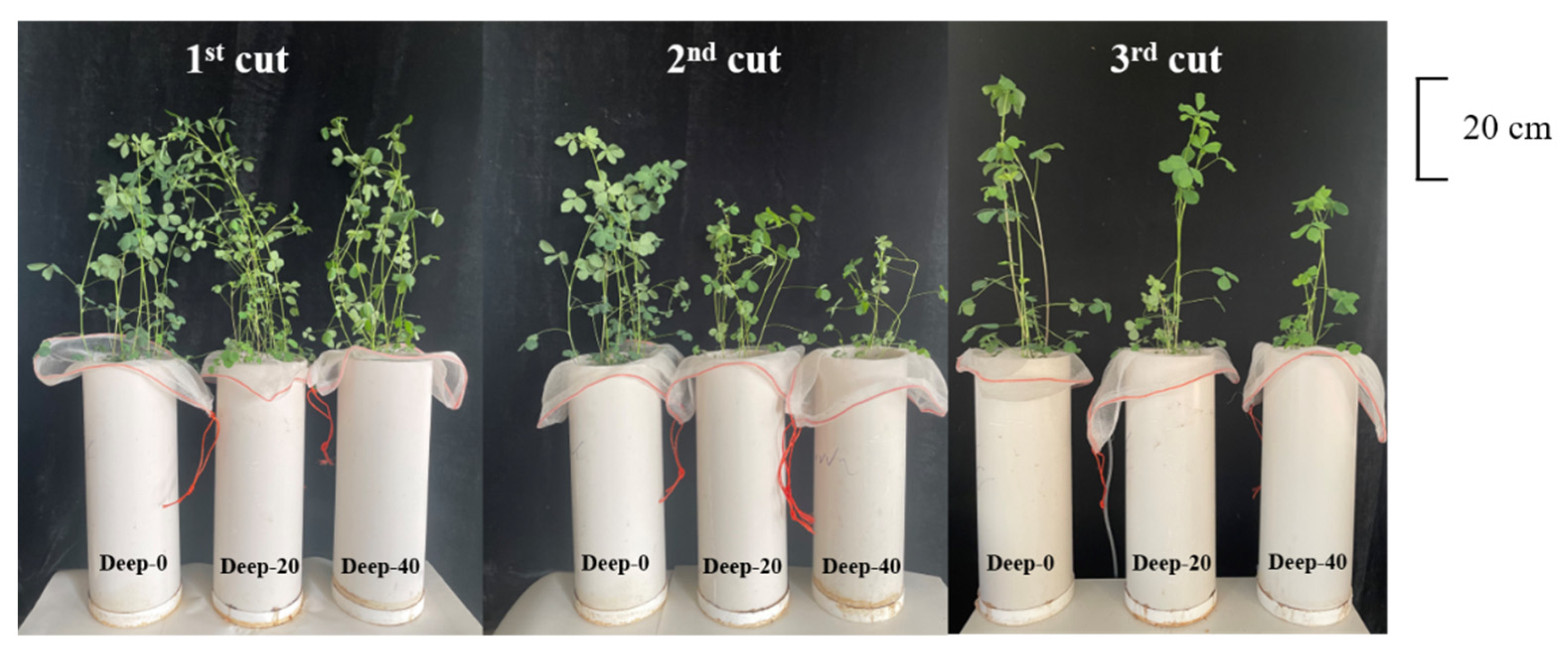 Agronomy 12 02192 g003 Agronomy 12 02192 g003