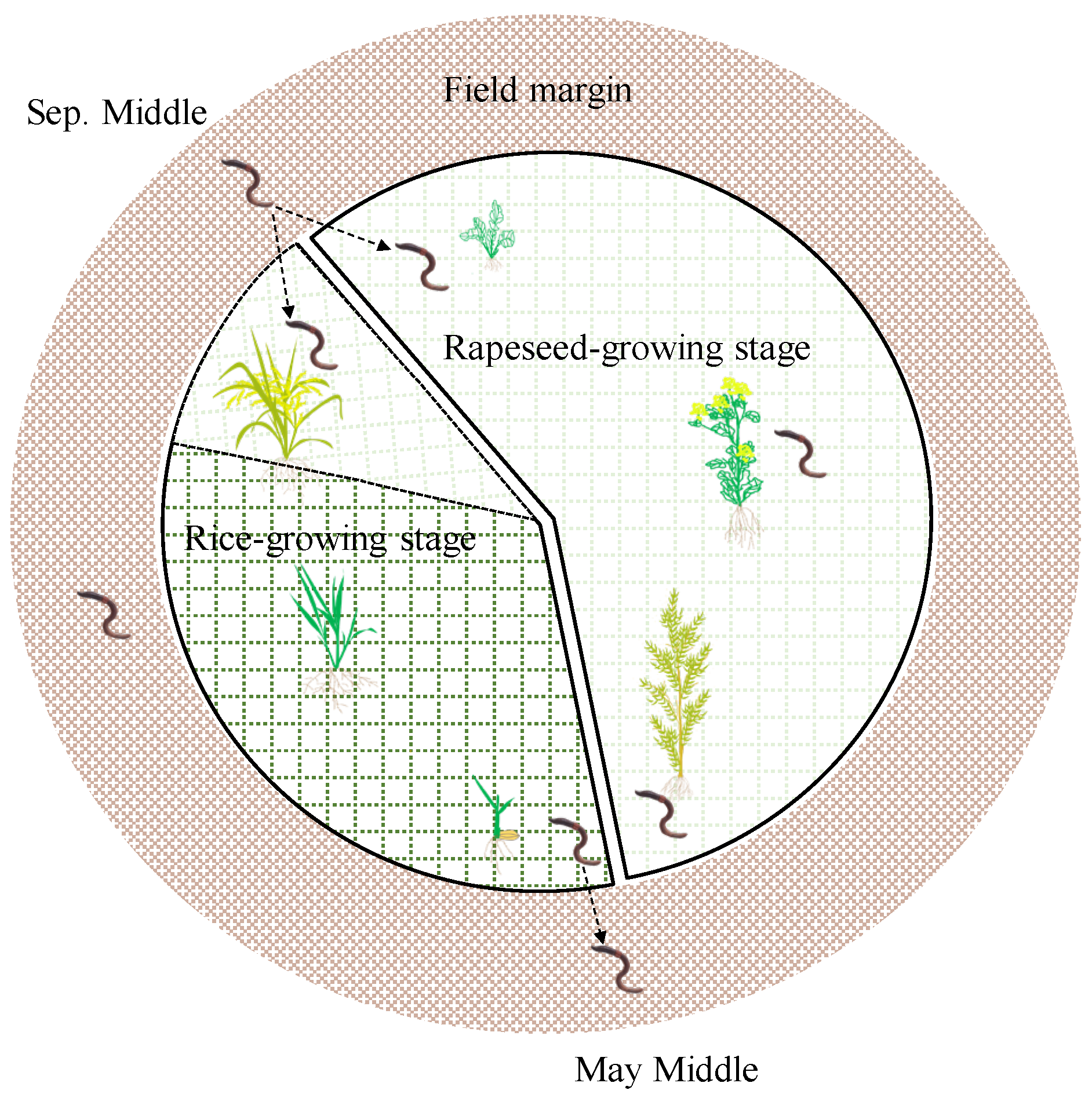 Agronomy 12 02209 g002