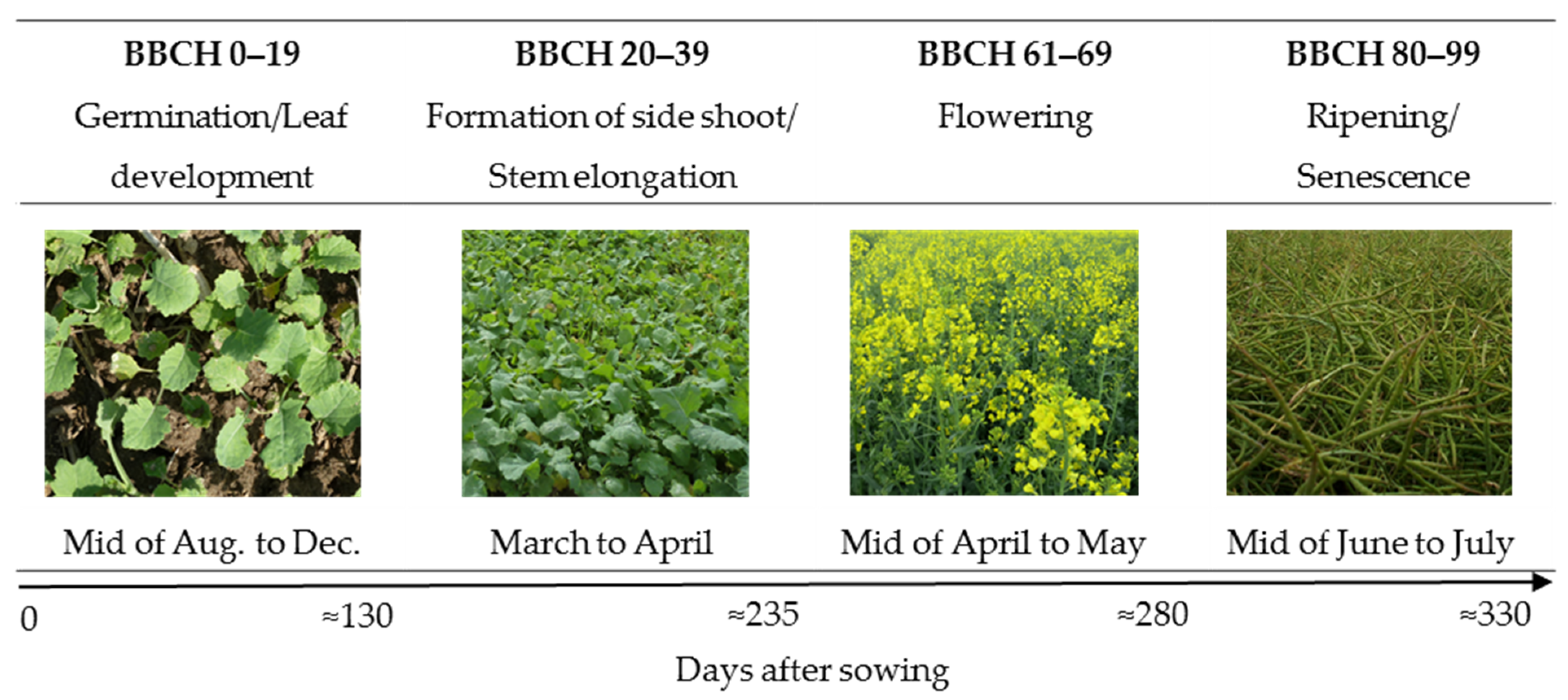Agronomy 12 02212 g002