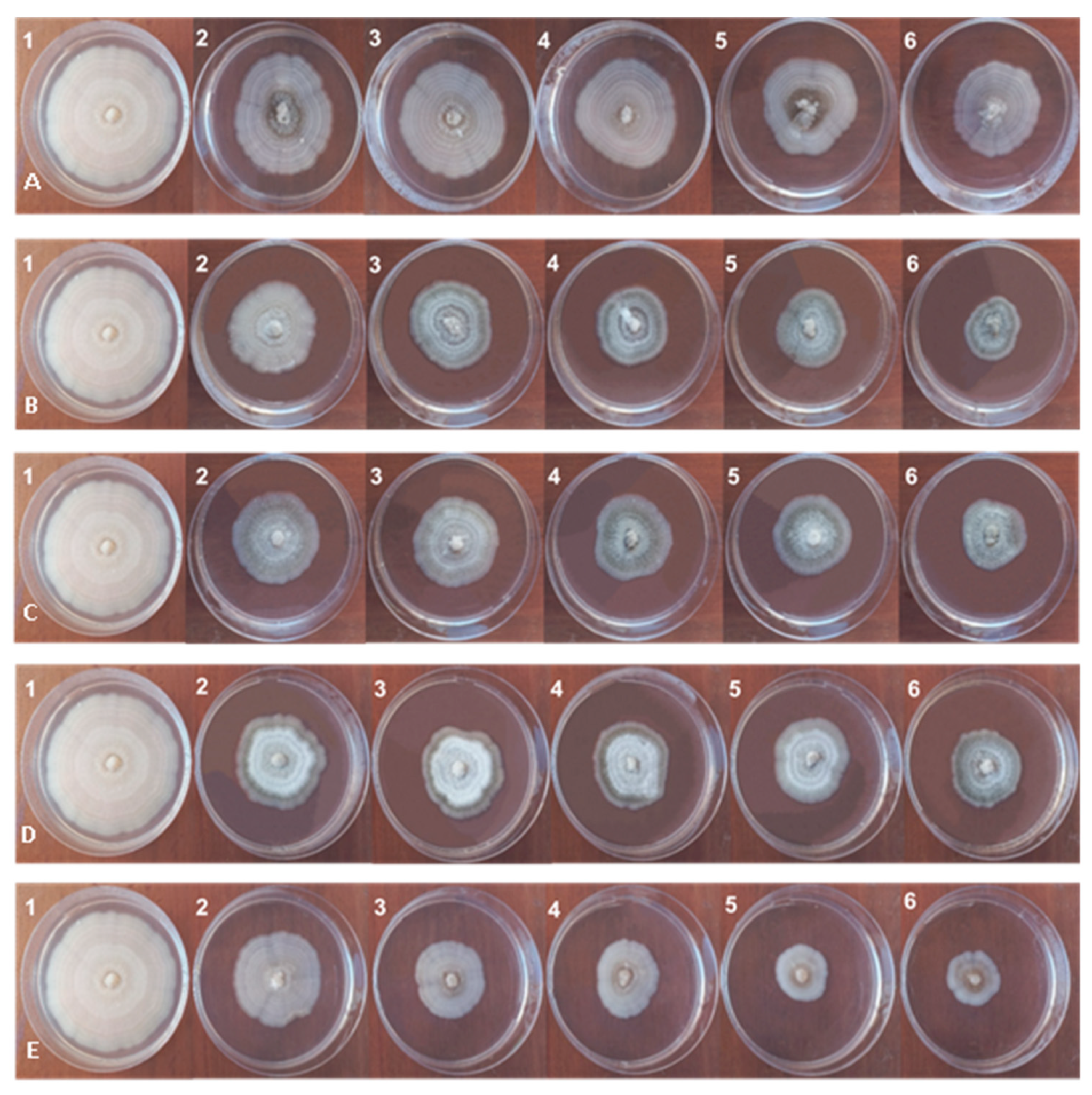 Agronomy 12 02215 g001