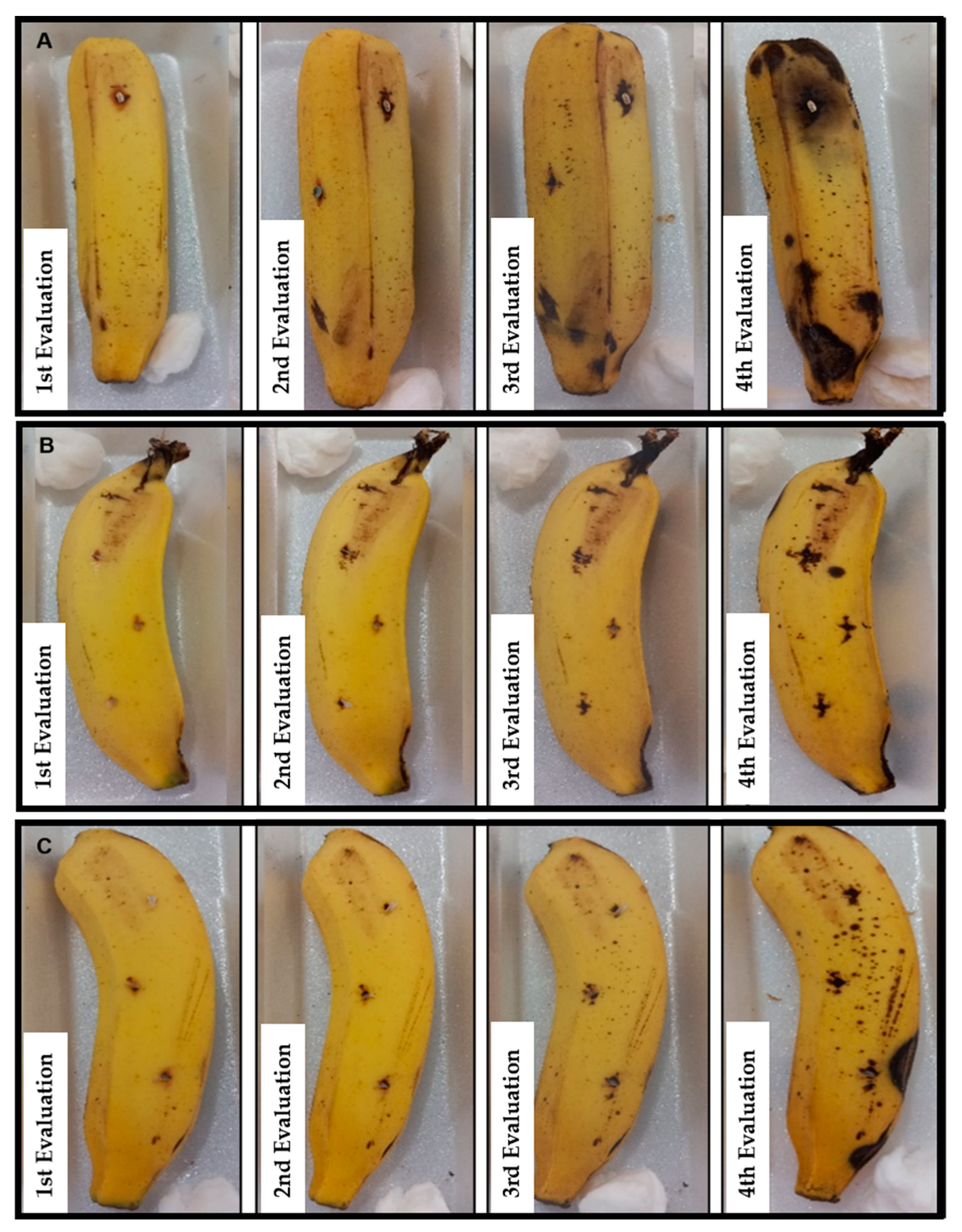 Agronomy 12 02215 g006