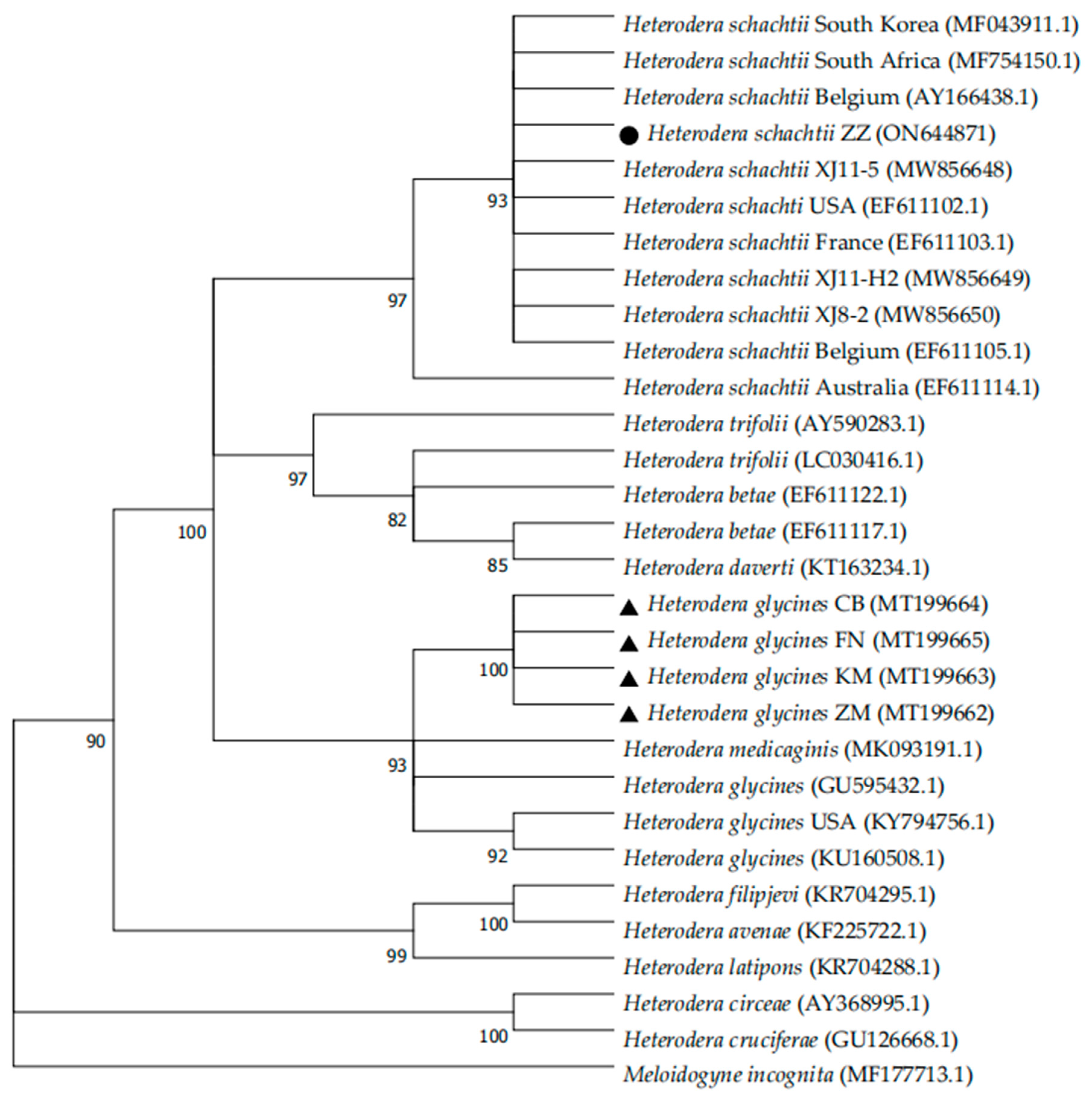 Agronomy 12 02227 g002 Agronomy 12 02227 g002
