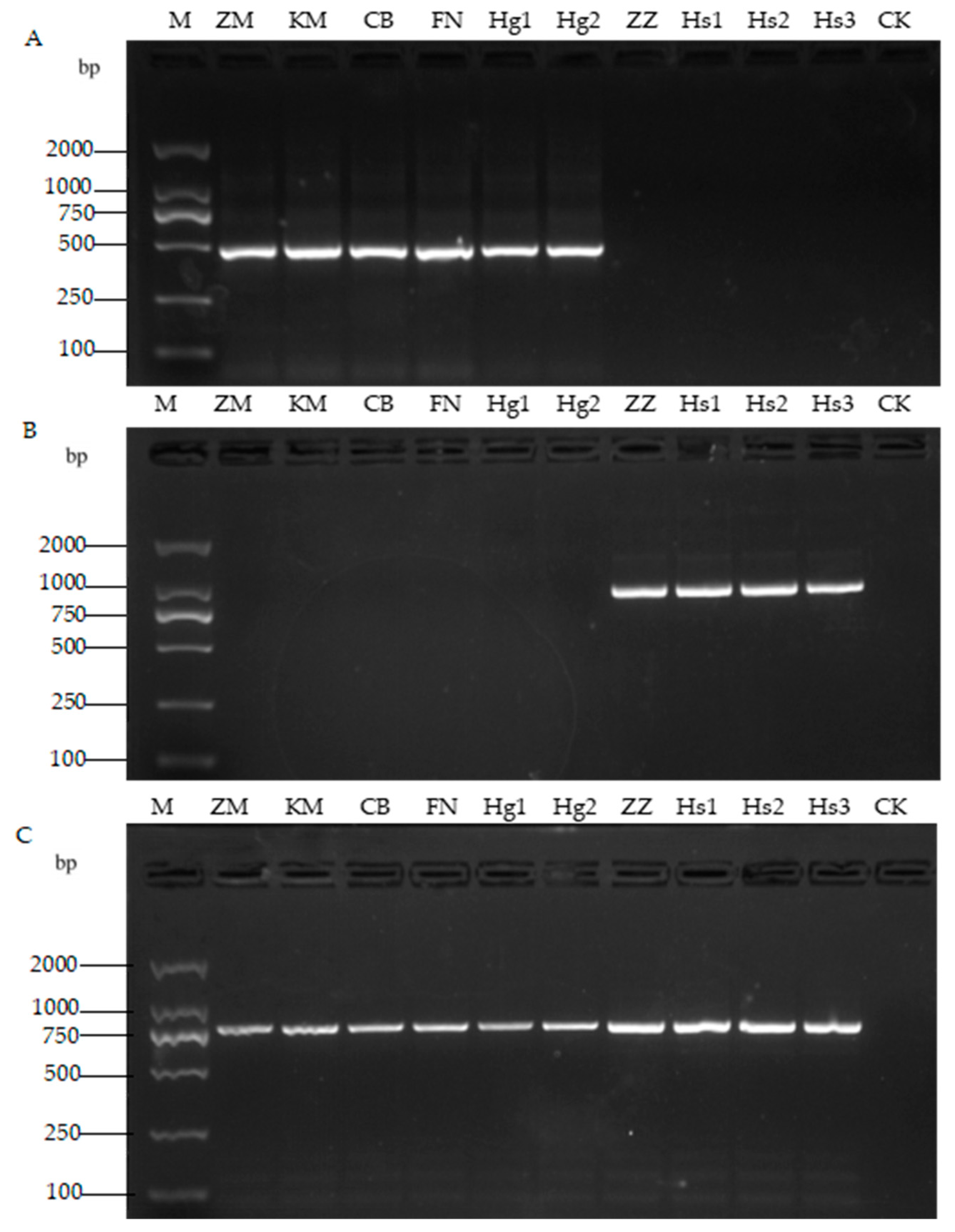 Agronomy 12 02227 g003 Agronomy 12 02227 g003