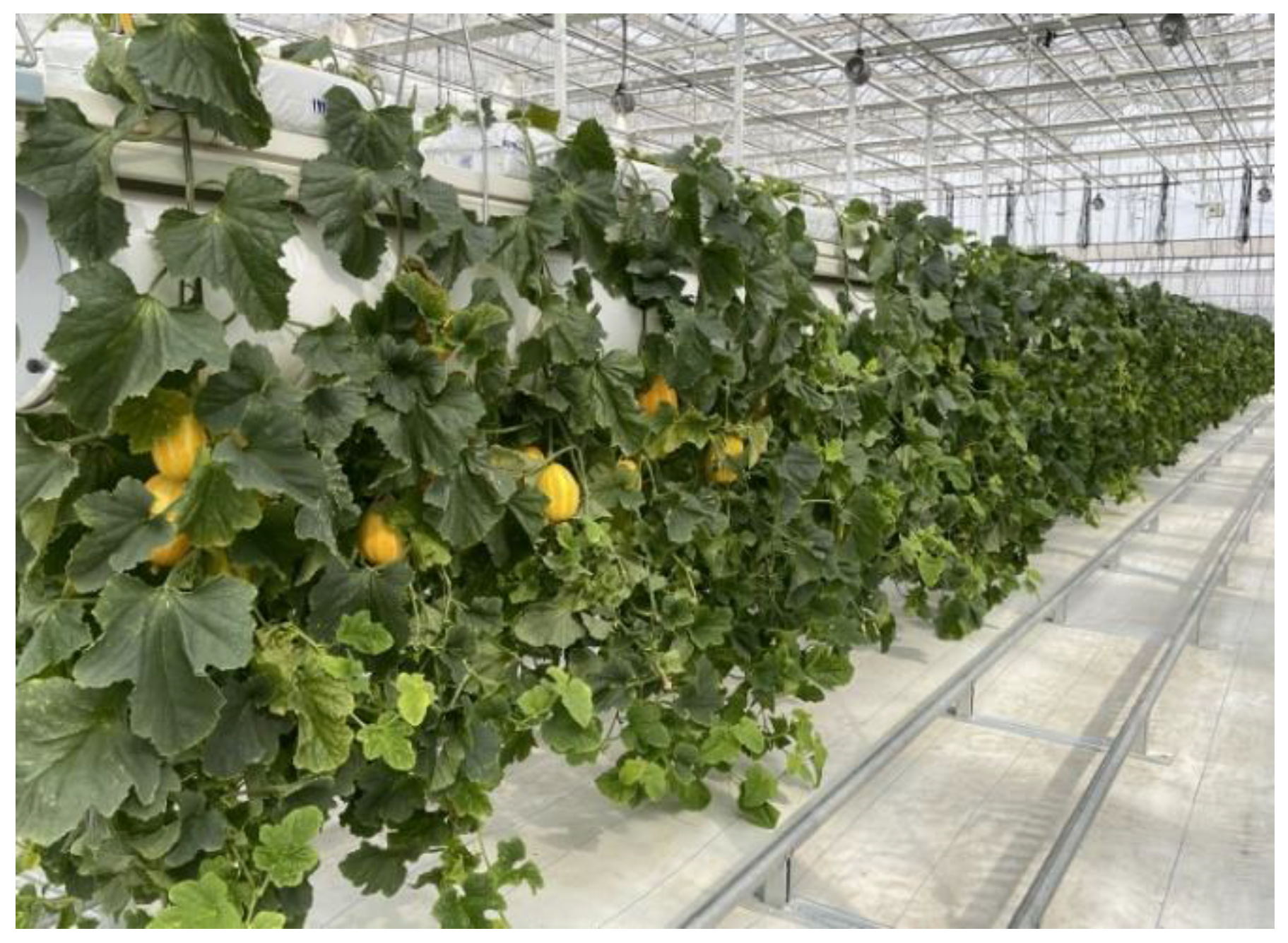 Agronomy 12 02236 g001