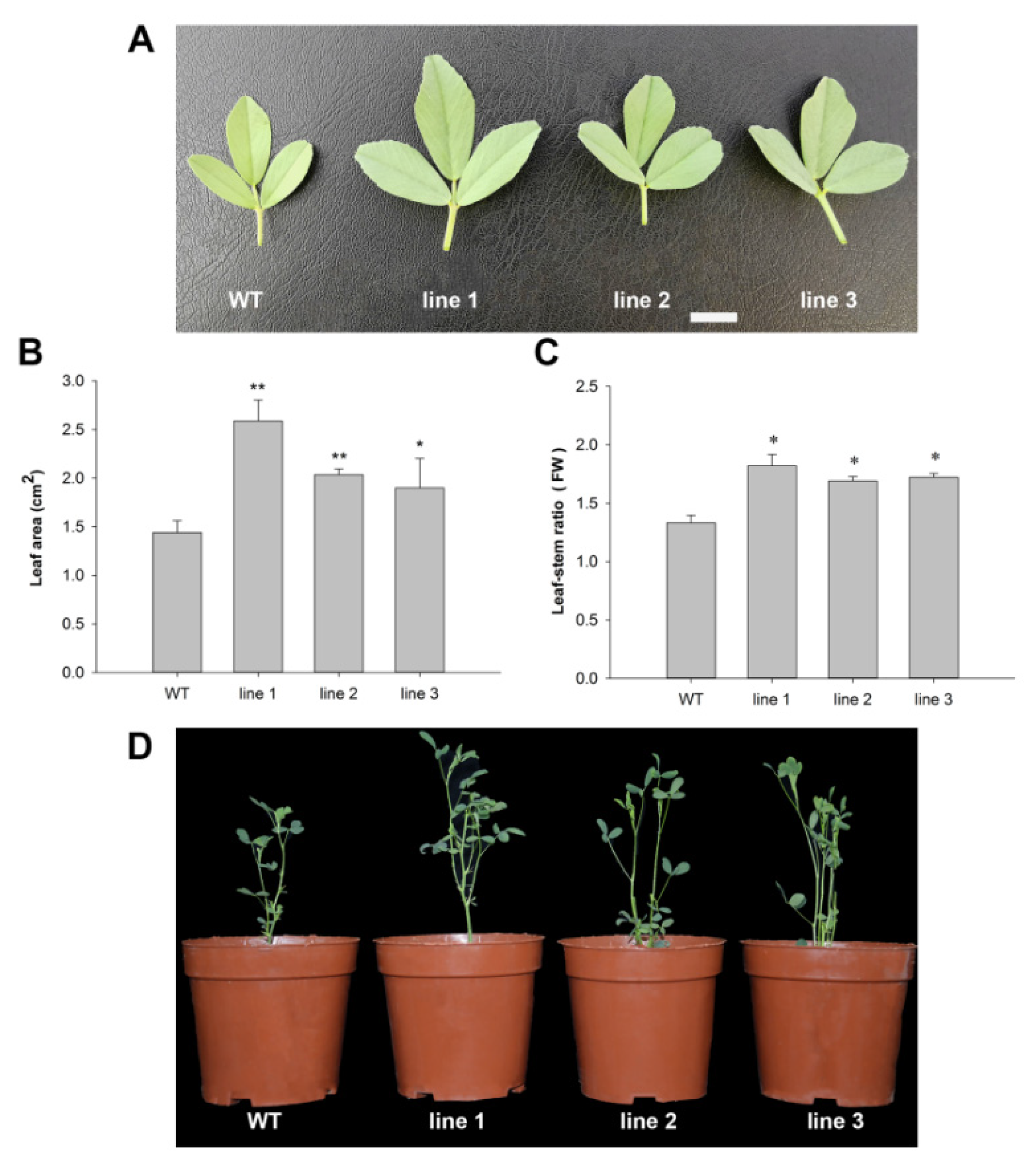 Agronomy 12 02238 g005