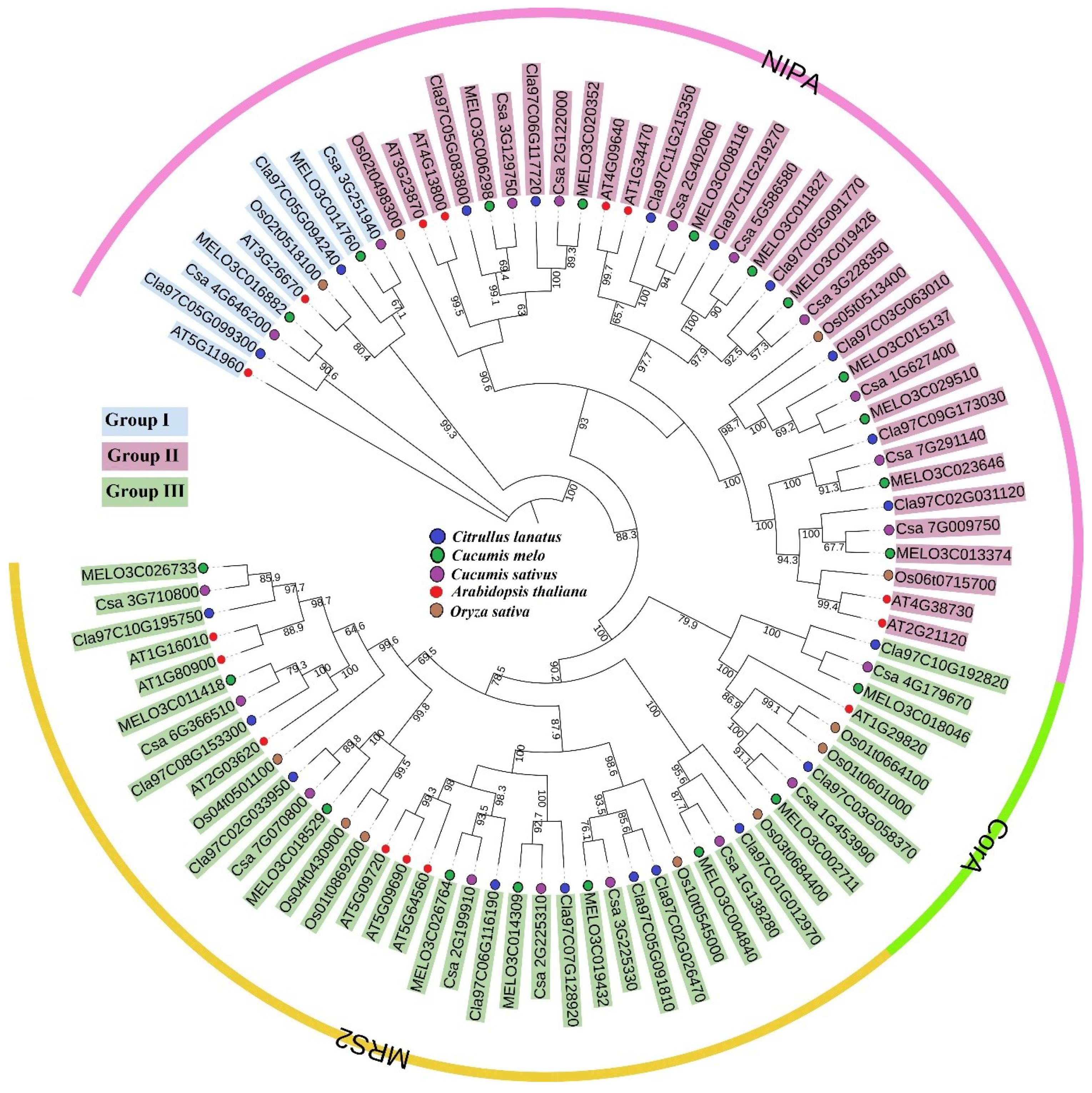 Agronomy 12 02253 g001