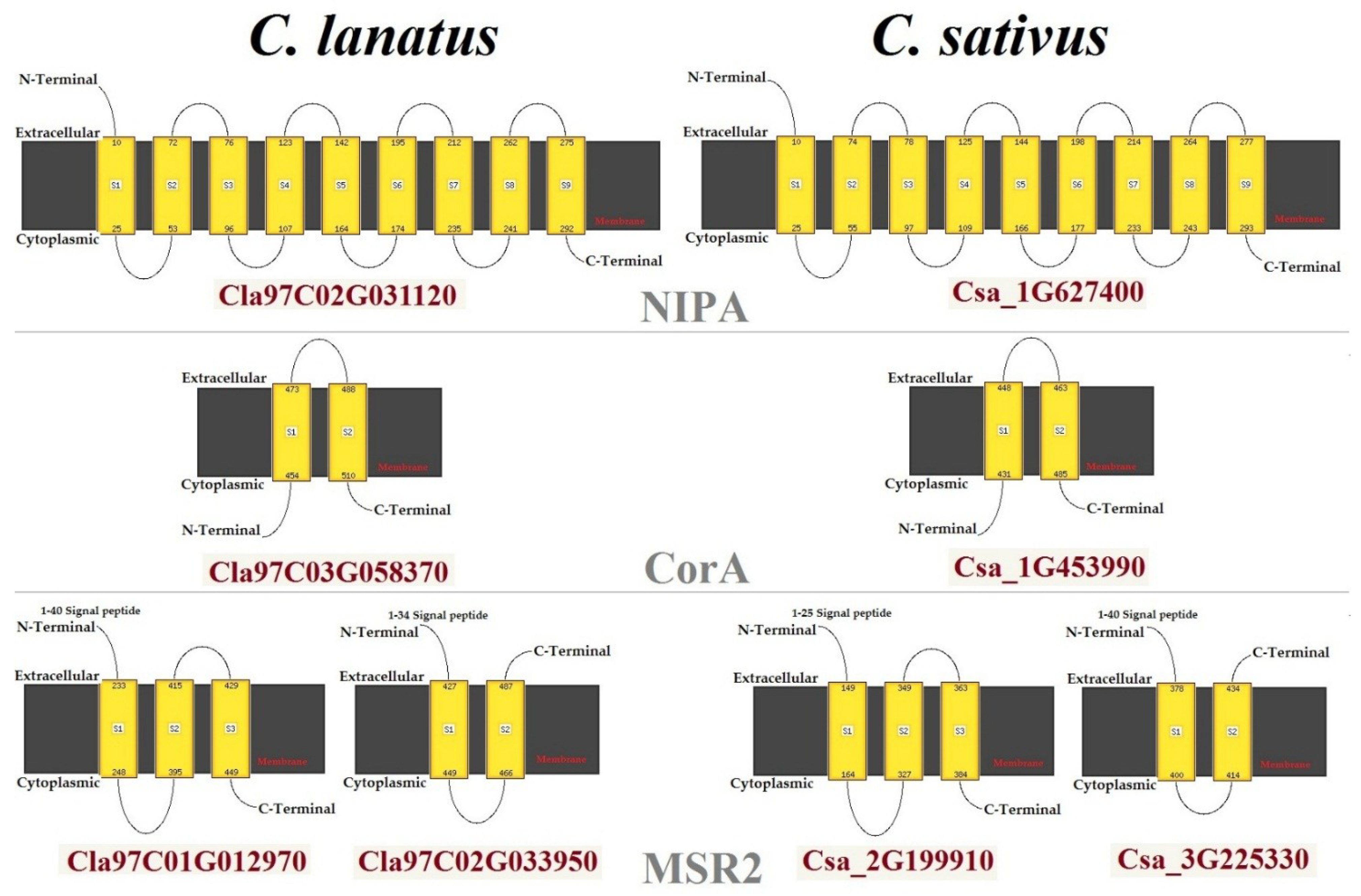 Agronomy 12 02253 g005