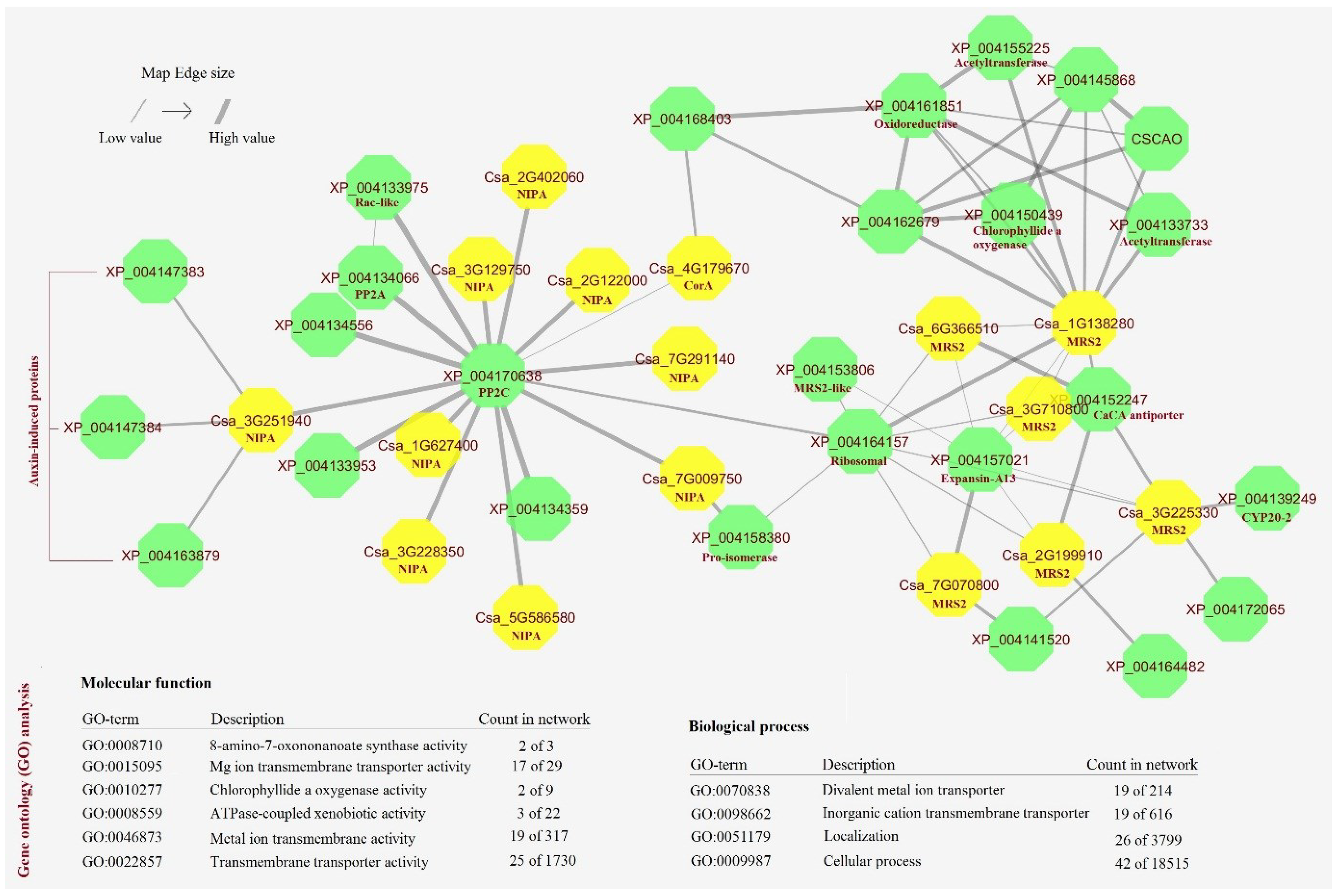 Agronomy 12 02253 g007