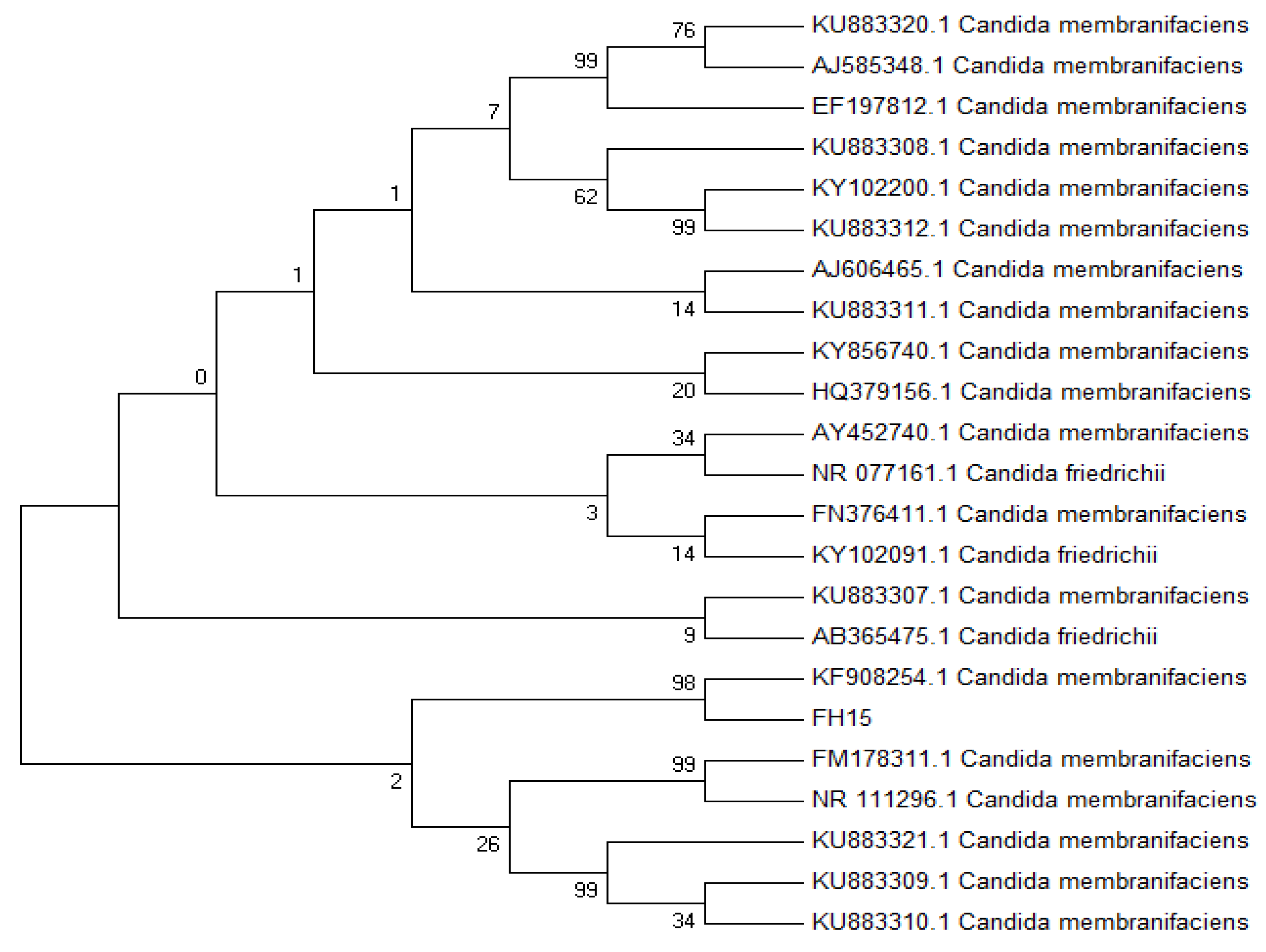 Agronomy 12 02263 g001