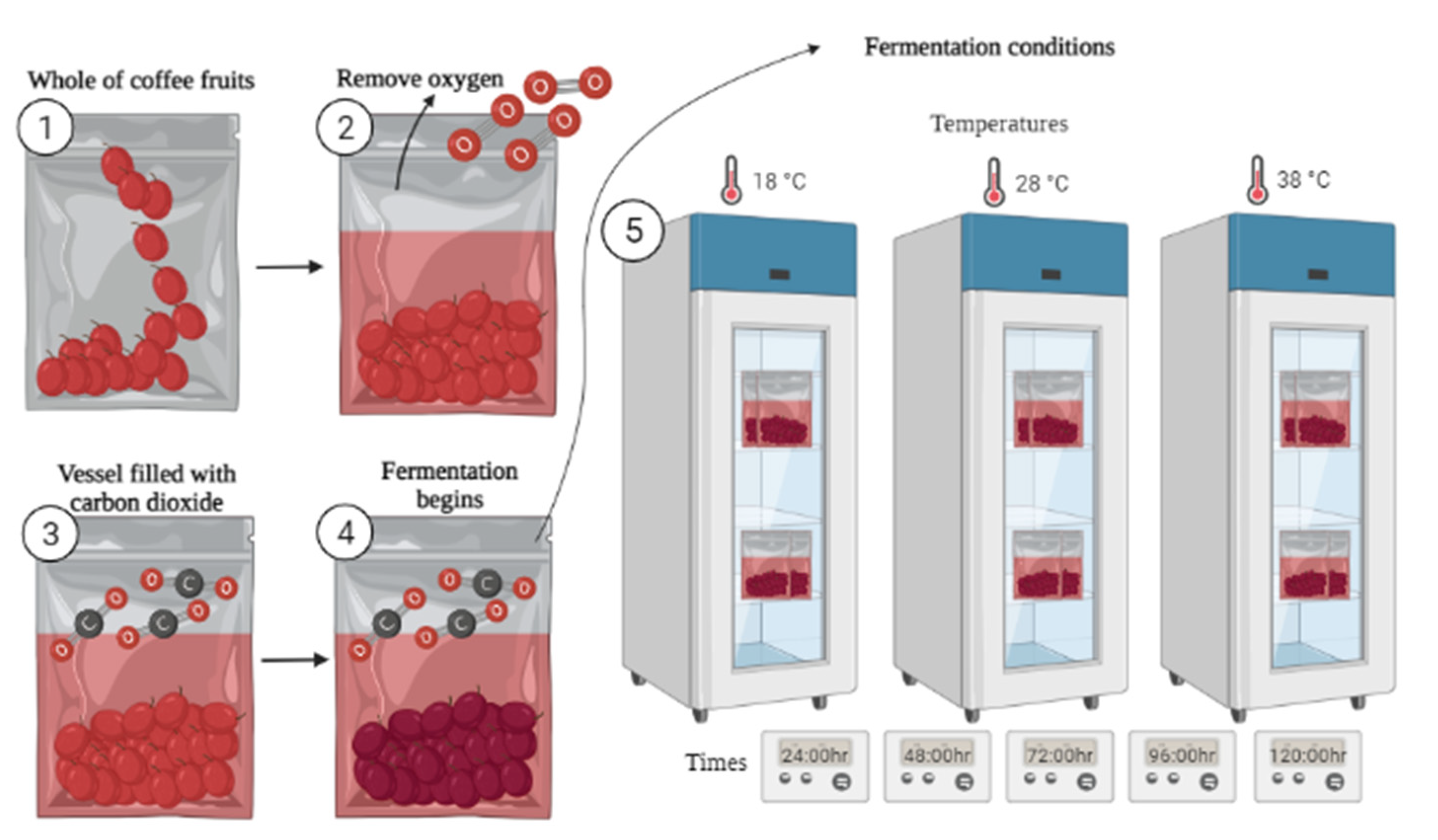 Agronomy 12 02265 g001