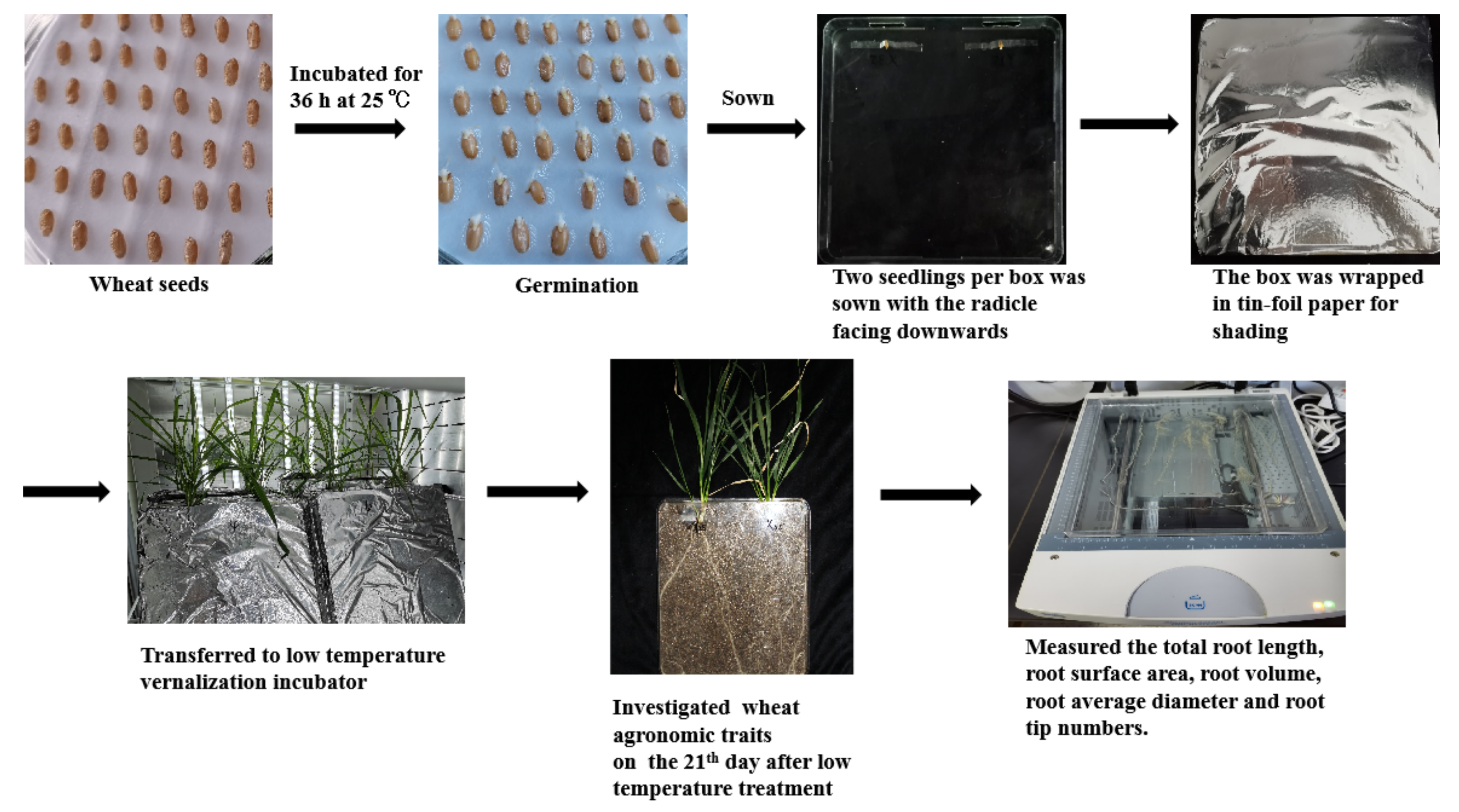 Agronomy 12 02338 g001