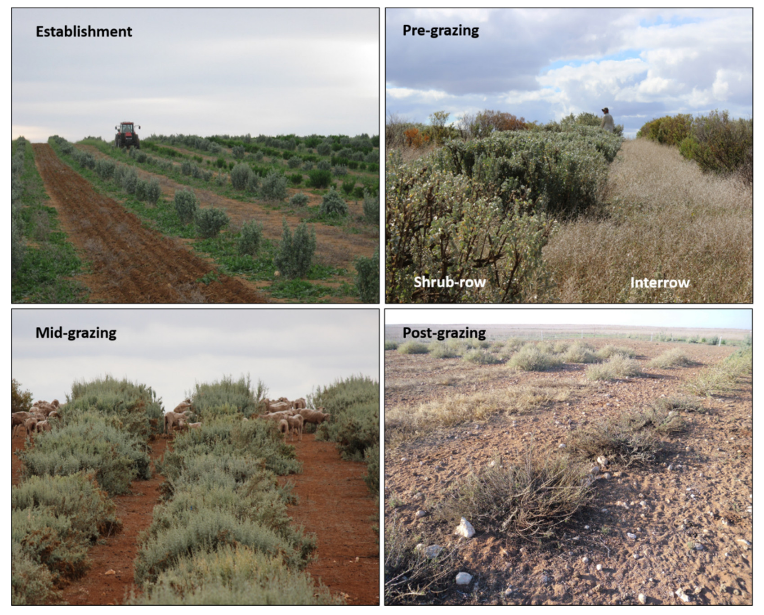 Agronomy 12 02348 g001 Agronomy 12 02348 g001
