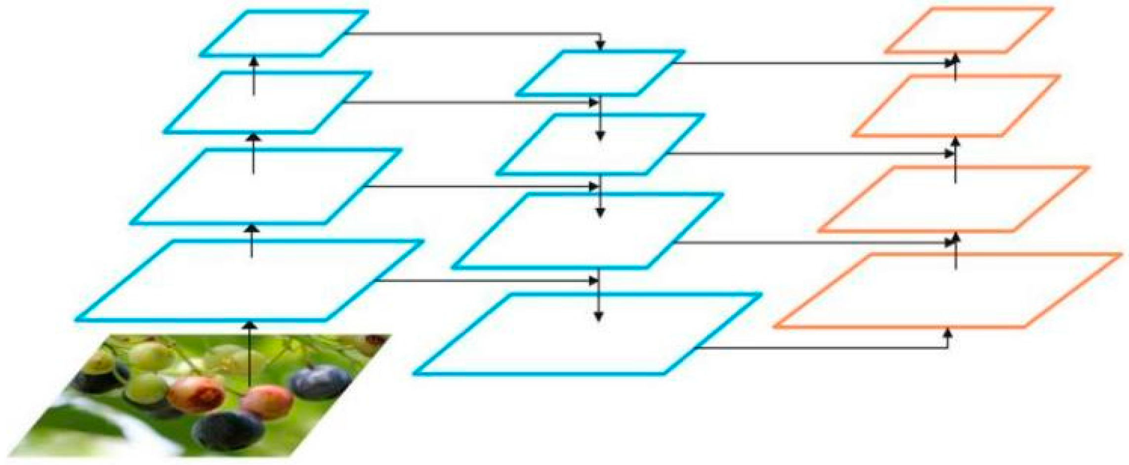 Agronomy 12 02354 g006