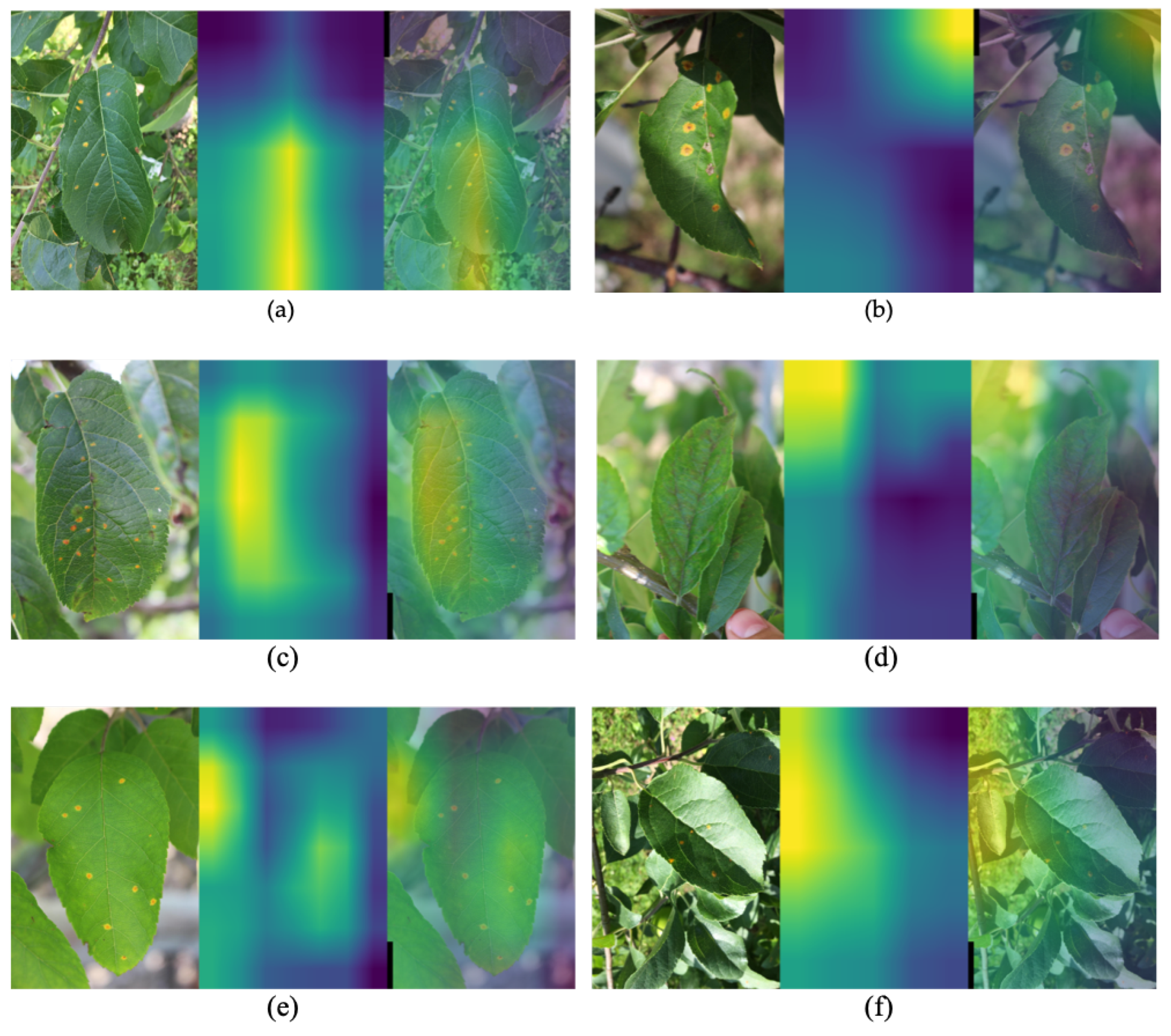 Agronomy 12 02359 g007