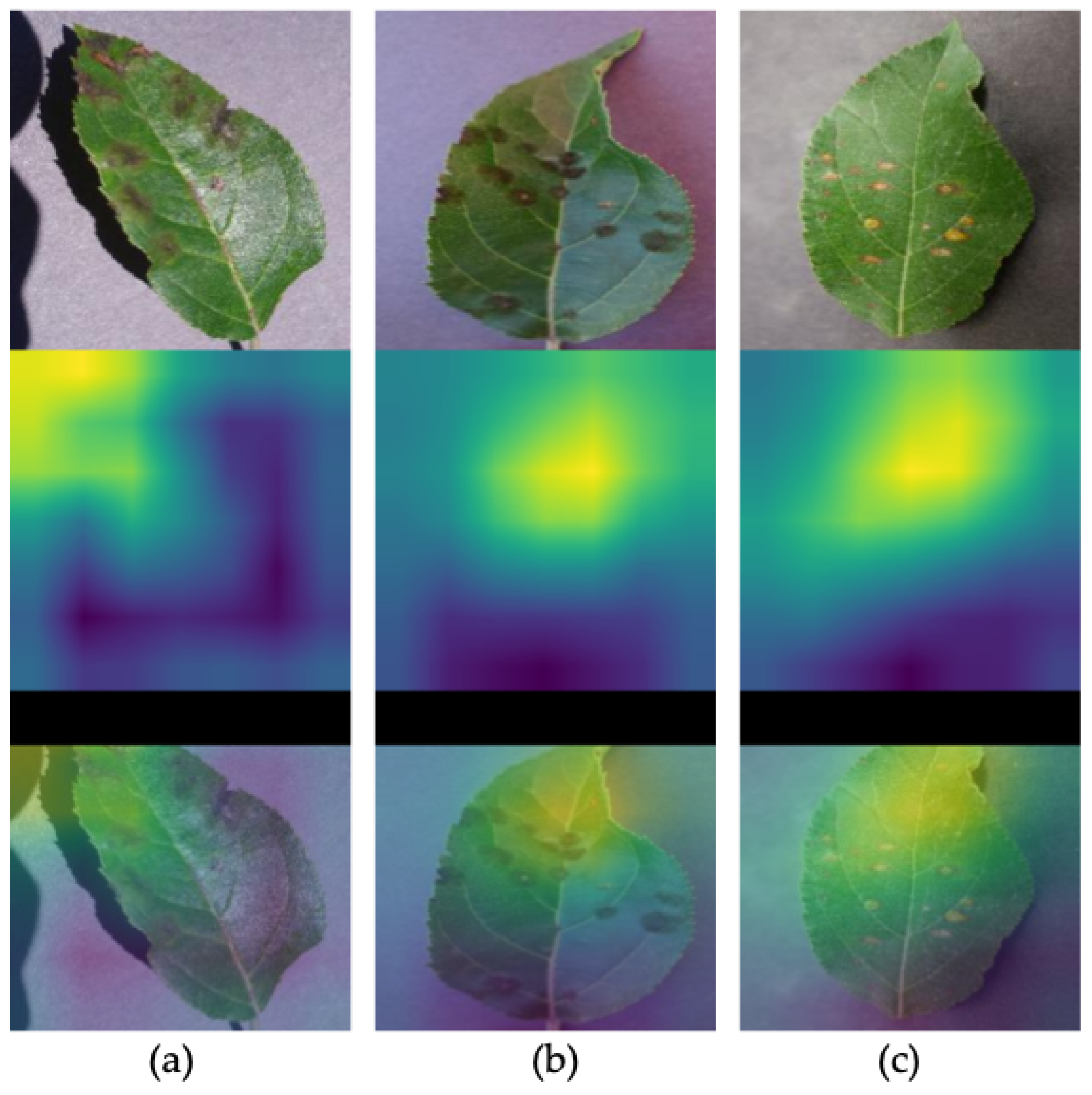 Agronomy 12 02359 g008