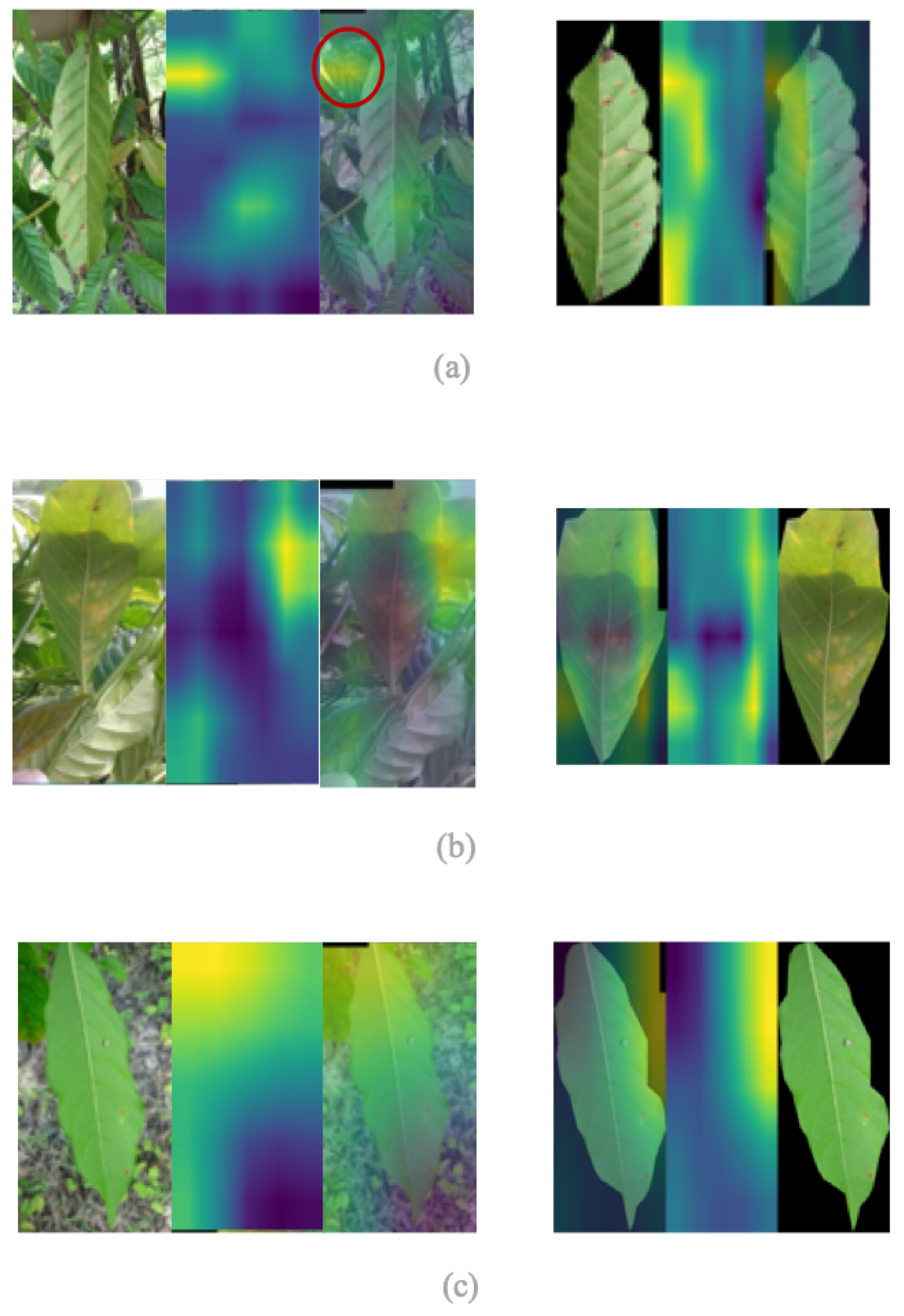 Agronomy 12 02359 g009