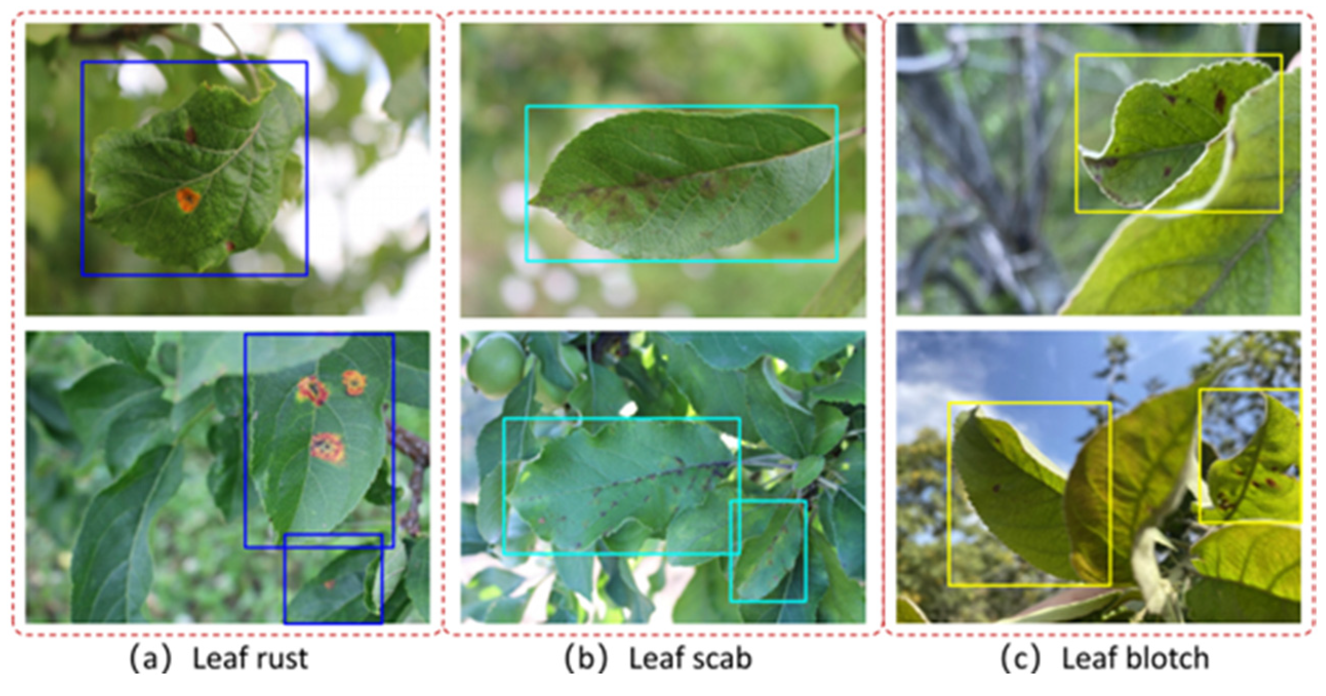 Agronomy 12 02363 g001