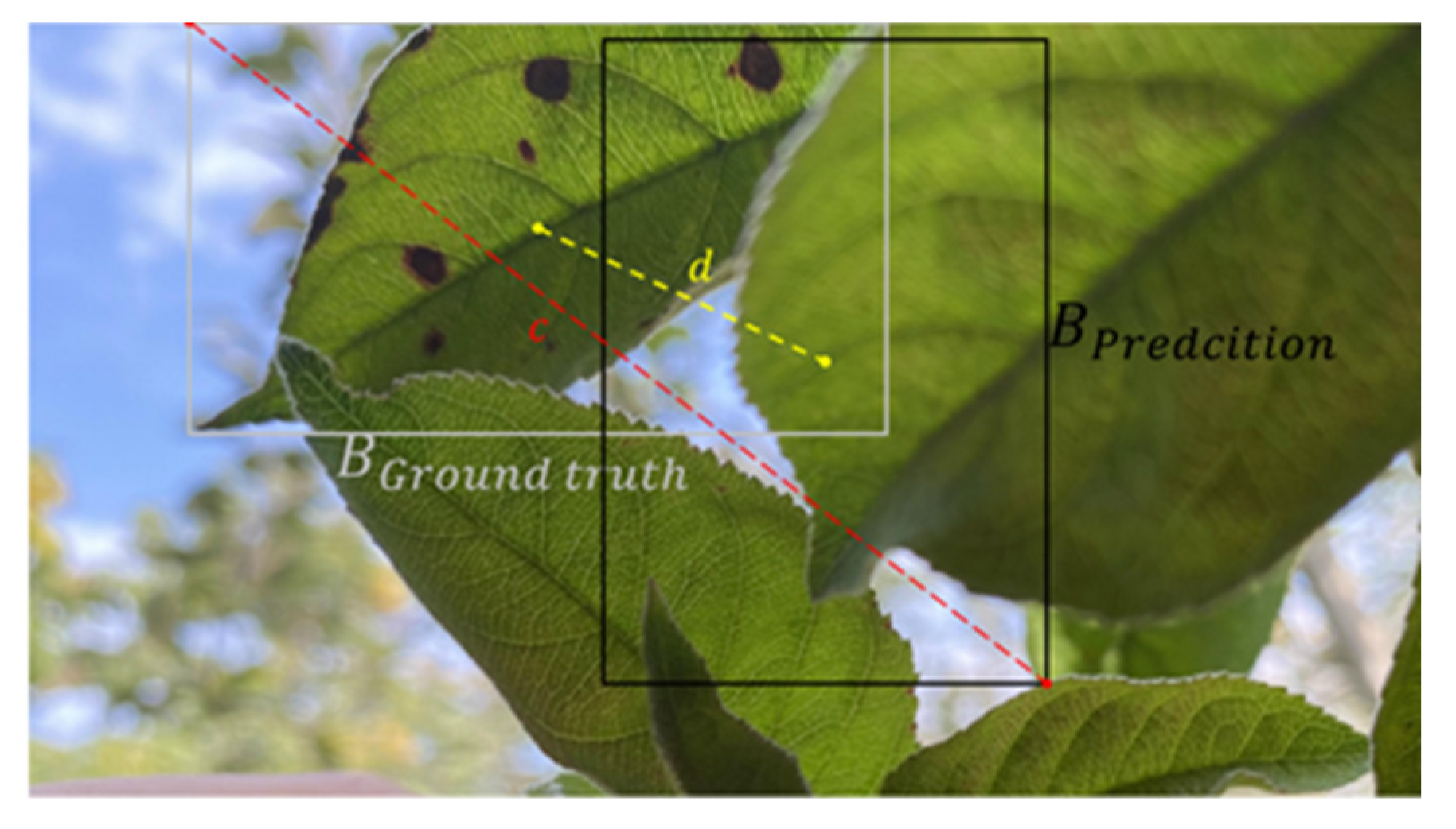 Agronomy 12 02363 g006