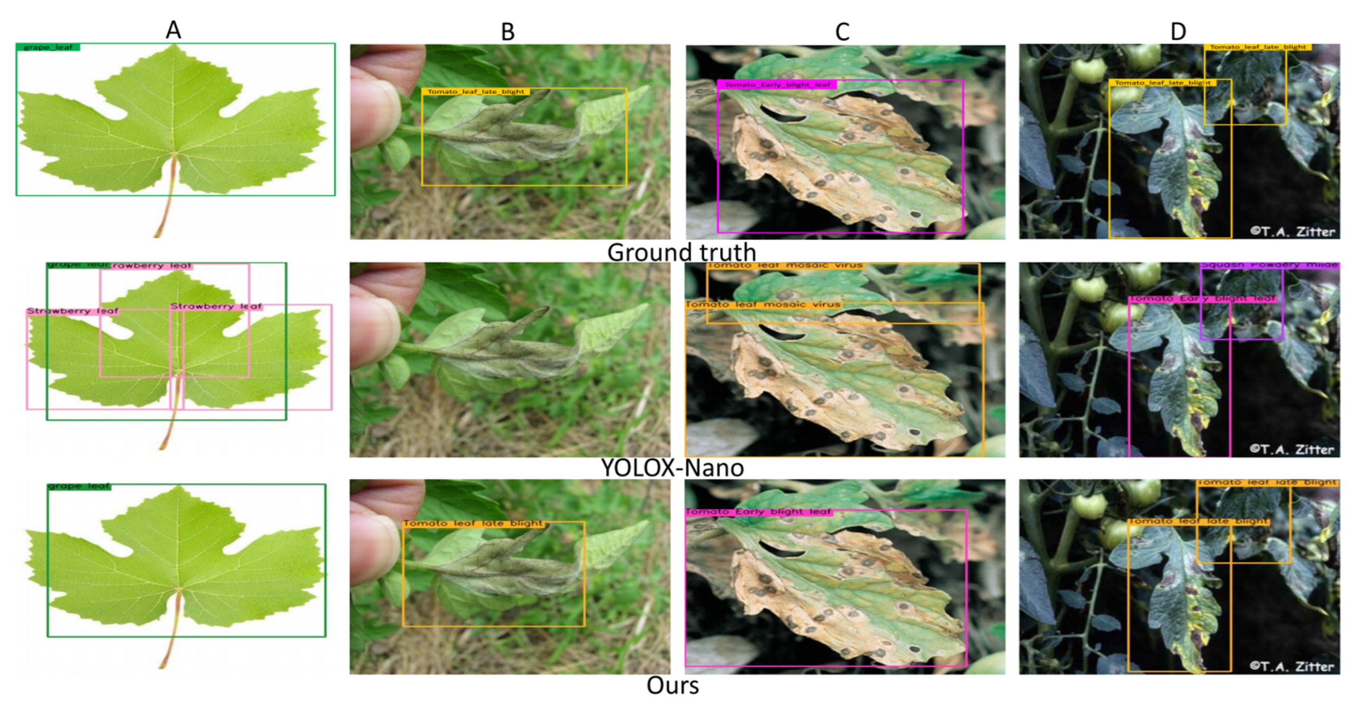 Agronomy 12 02363 g009