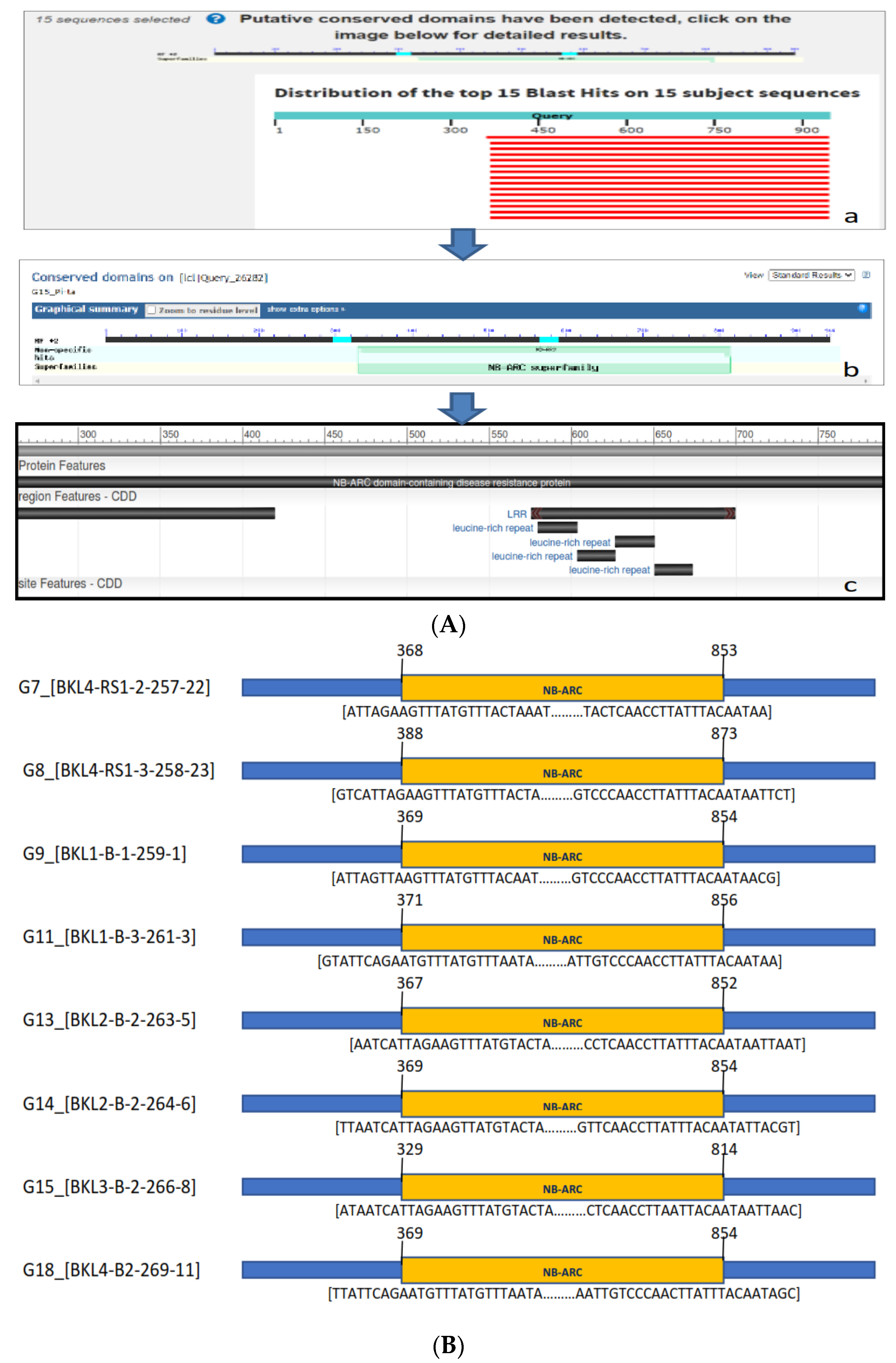 Agronomy 12 02373 g006