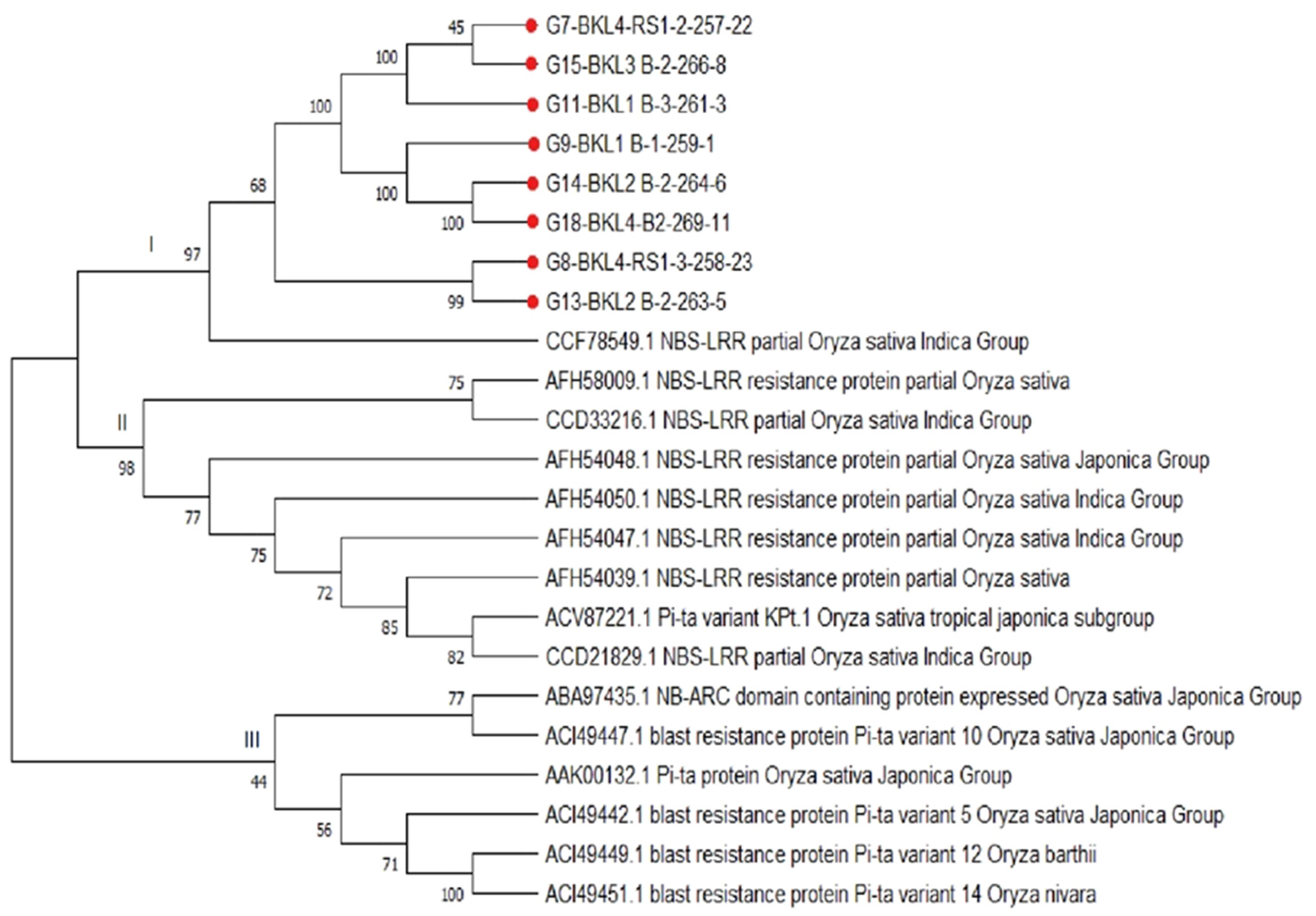 Agronomy 12 02373 g007