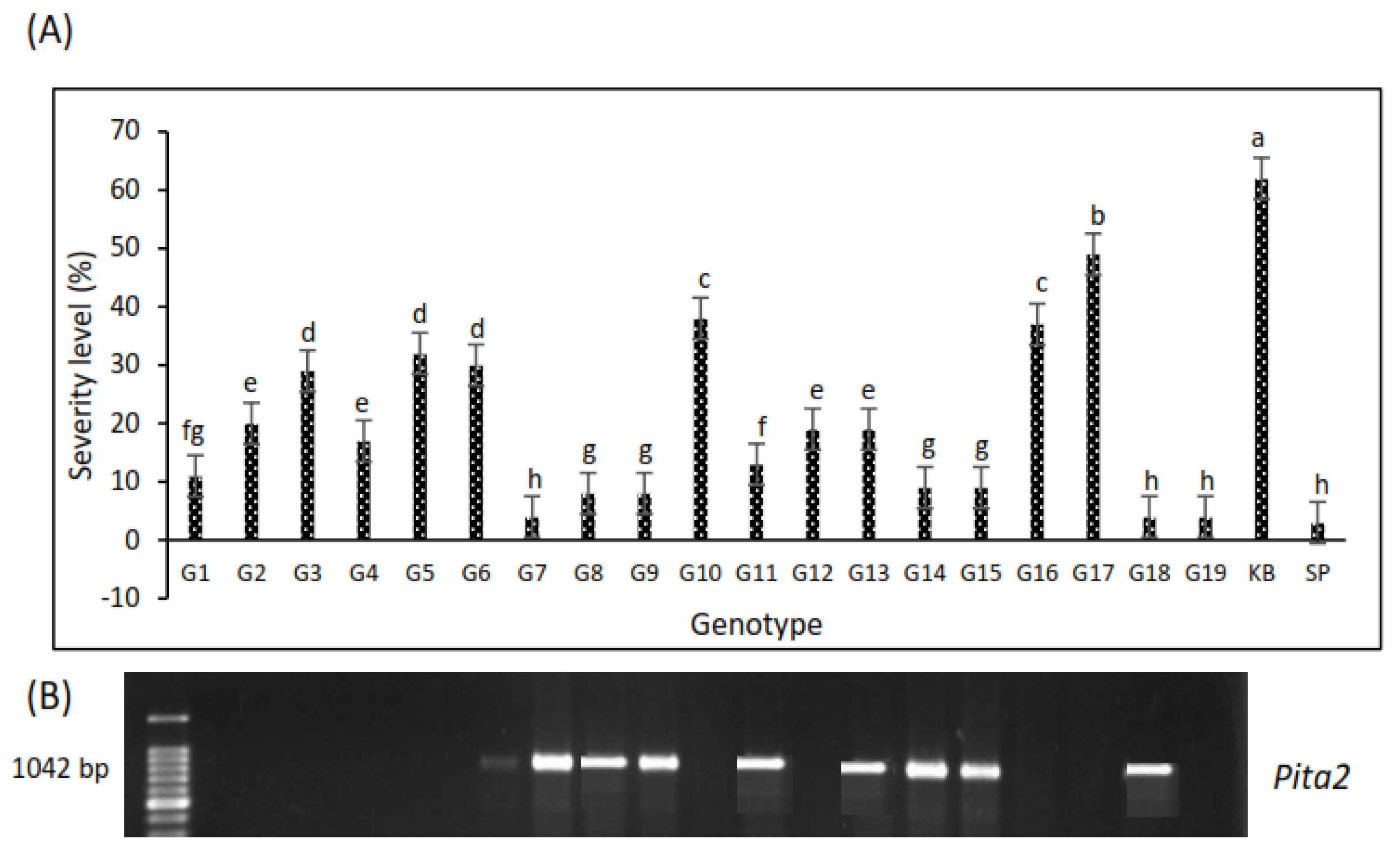 Agronomy 12 02373 g009
