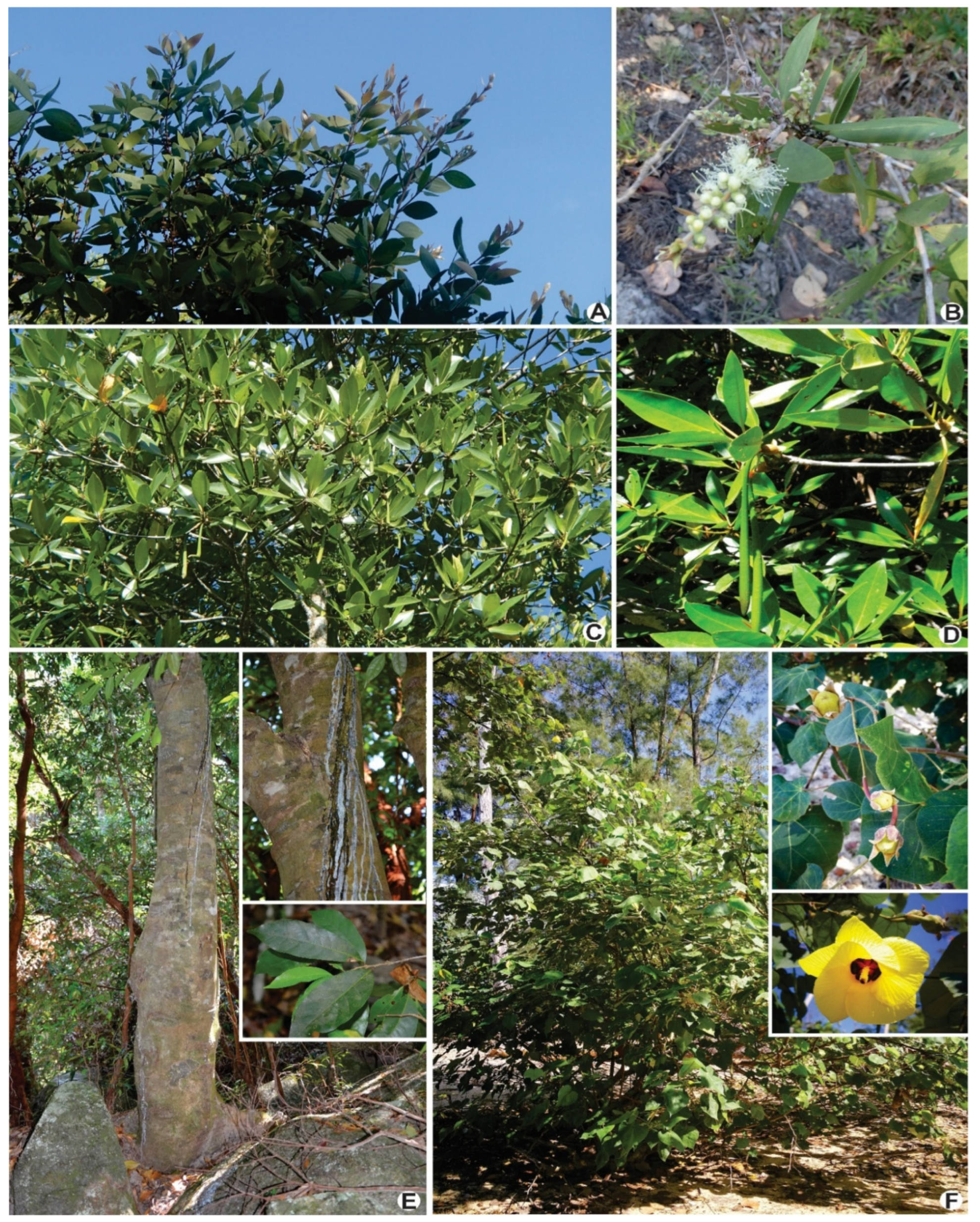 Agronomy 12 02380 g003 Agronomy 12 02380 g003