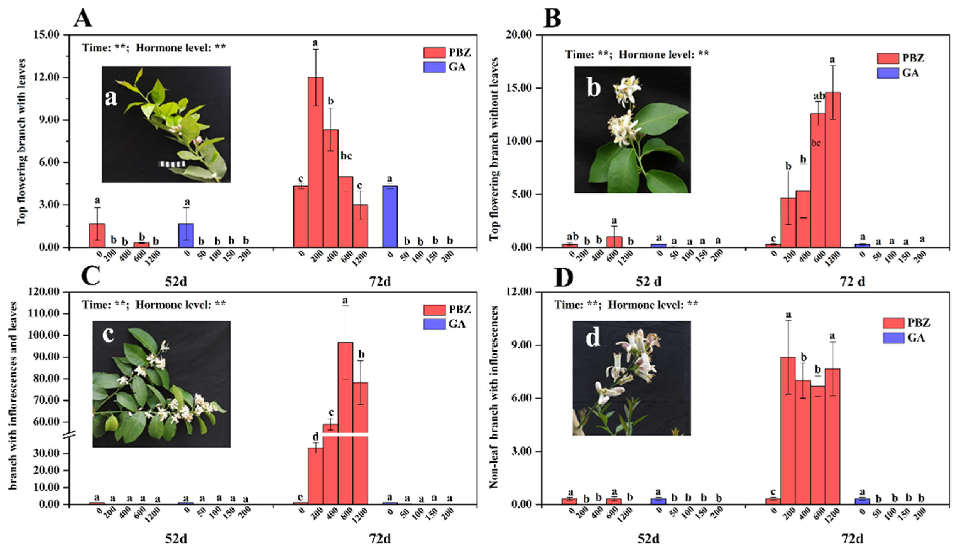 Agronomy 12 02381 g003 Agronomy 12 02381 g003