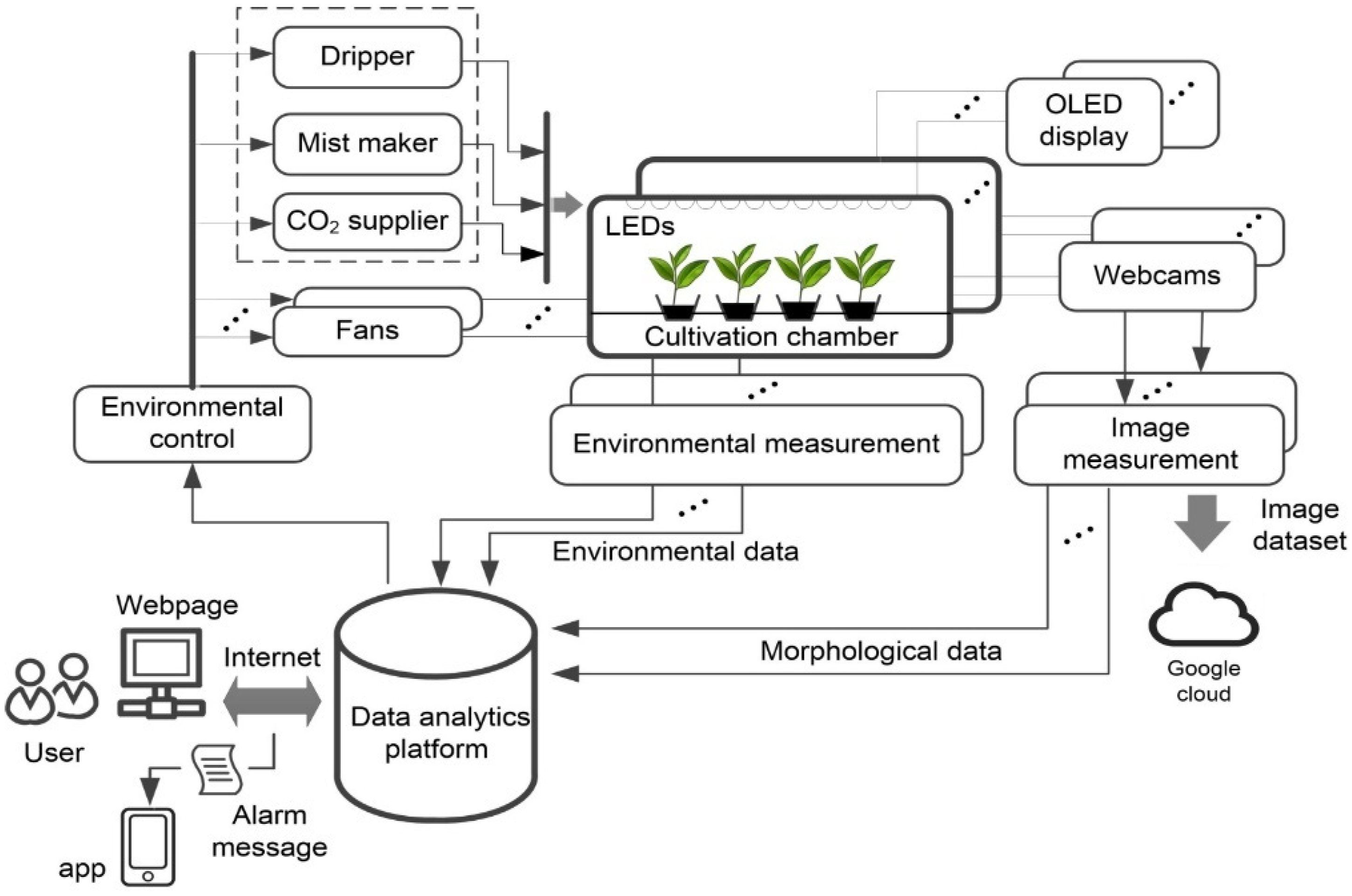 Agronomy 12 02384 g001