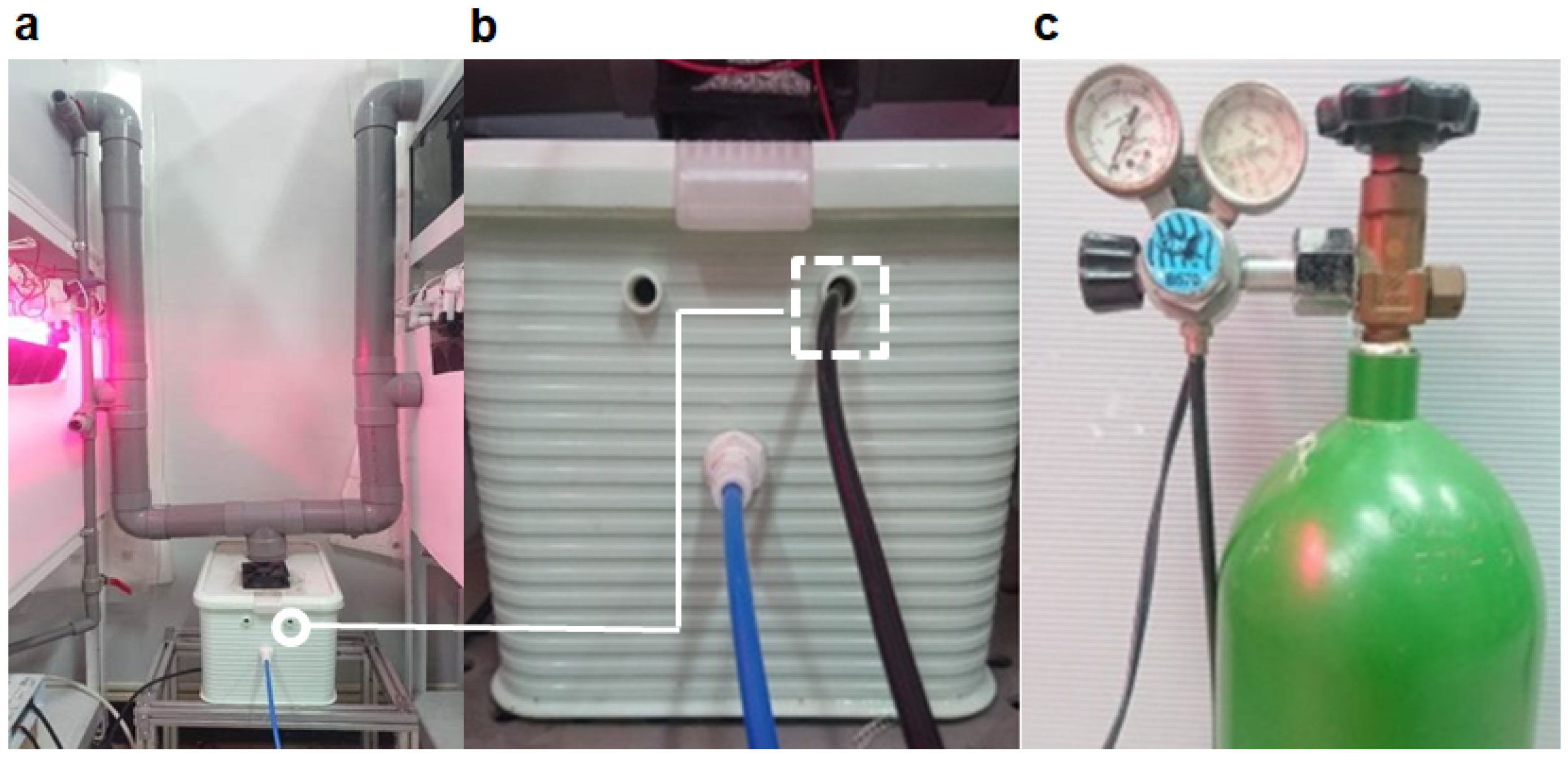 Agronomy 12 02384 g005