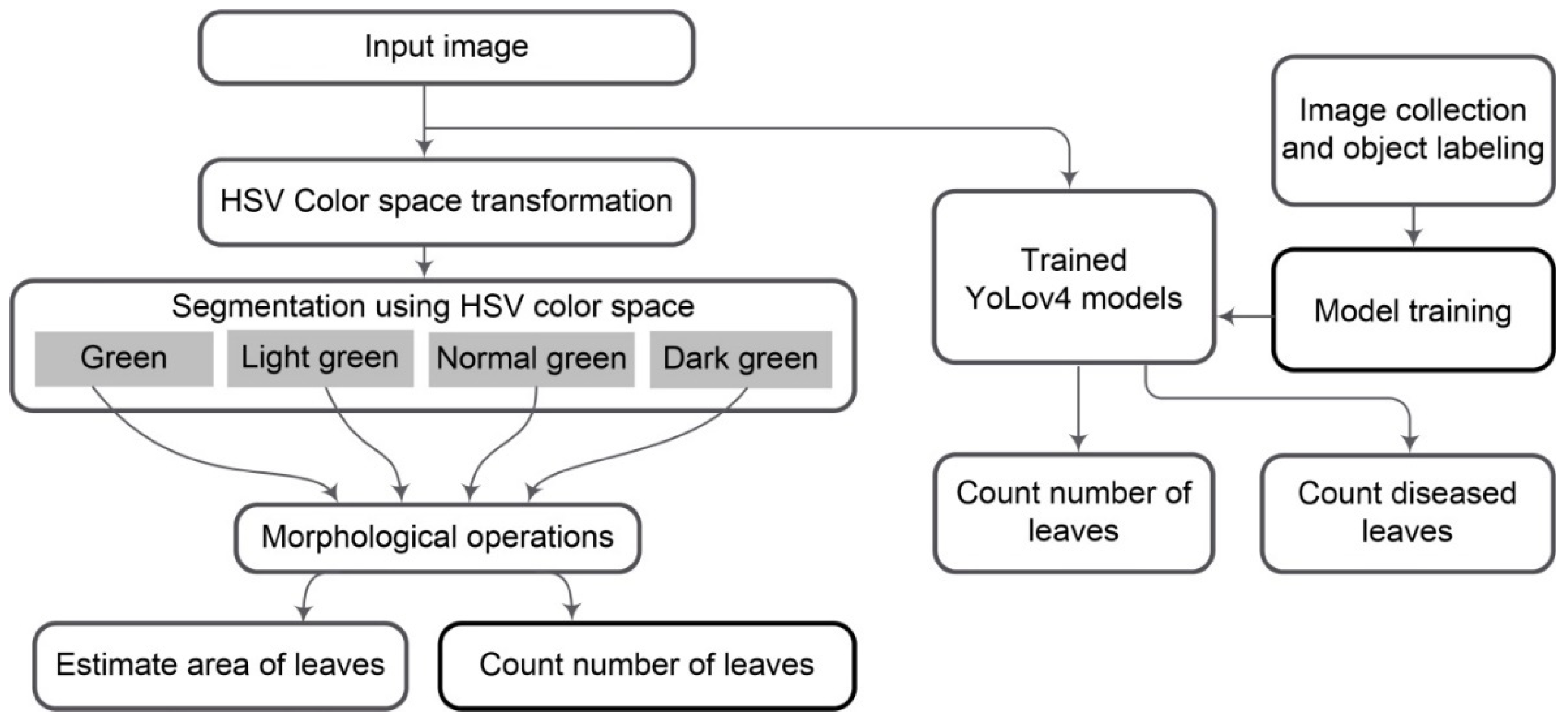 Agronomy 12 02384 g008