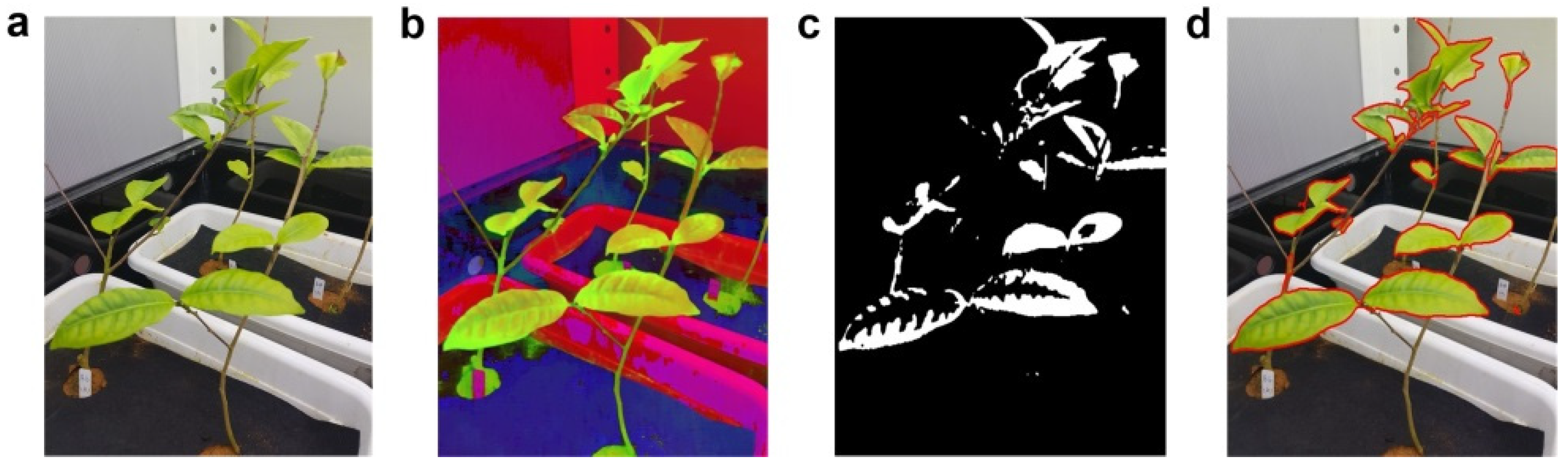 Agronomy 12 02384 g010