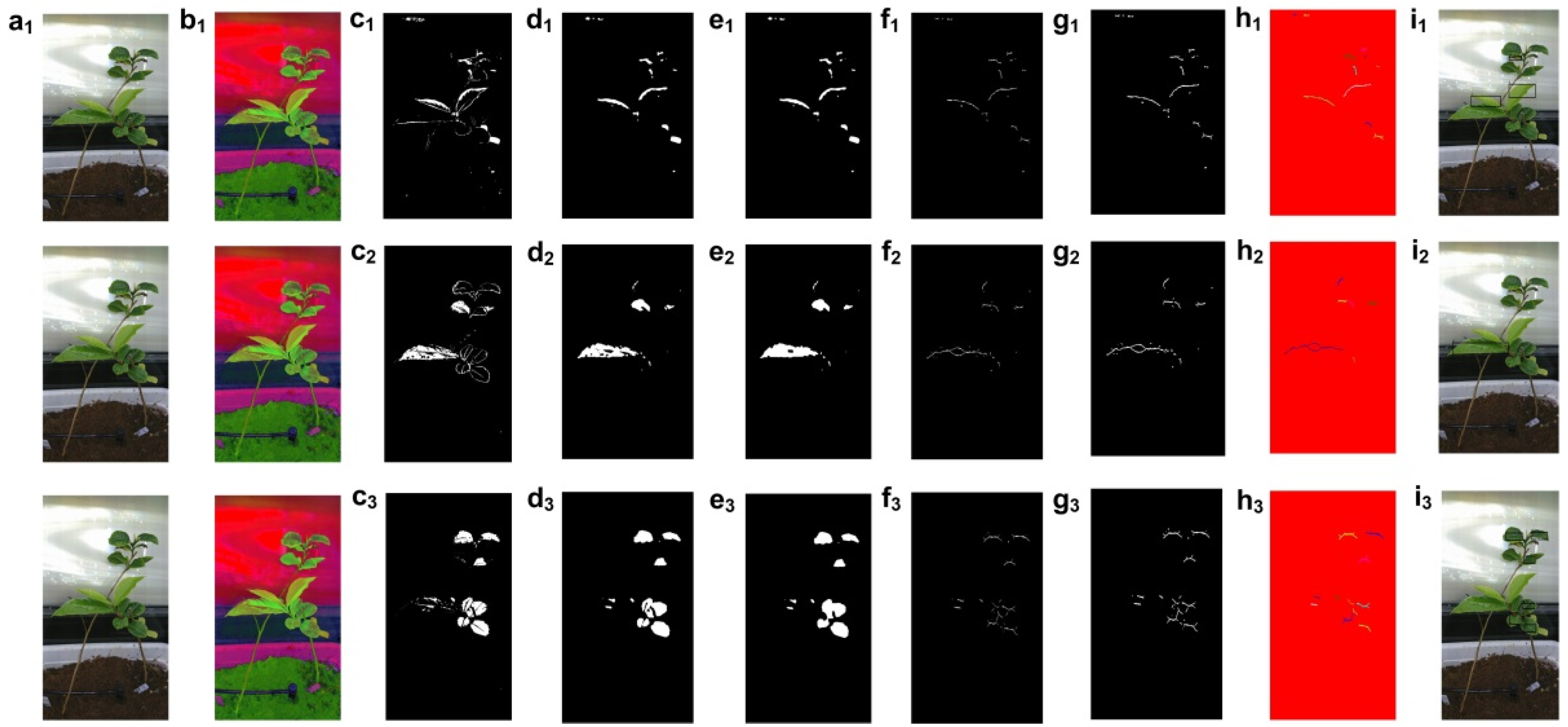 Agronomy 12 02384 g011