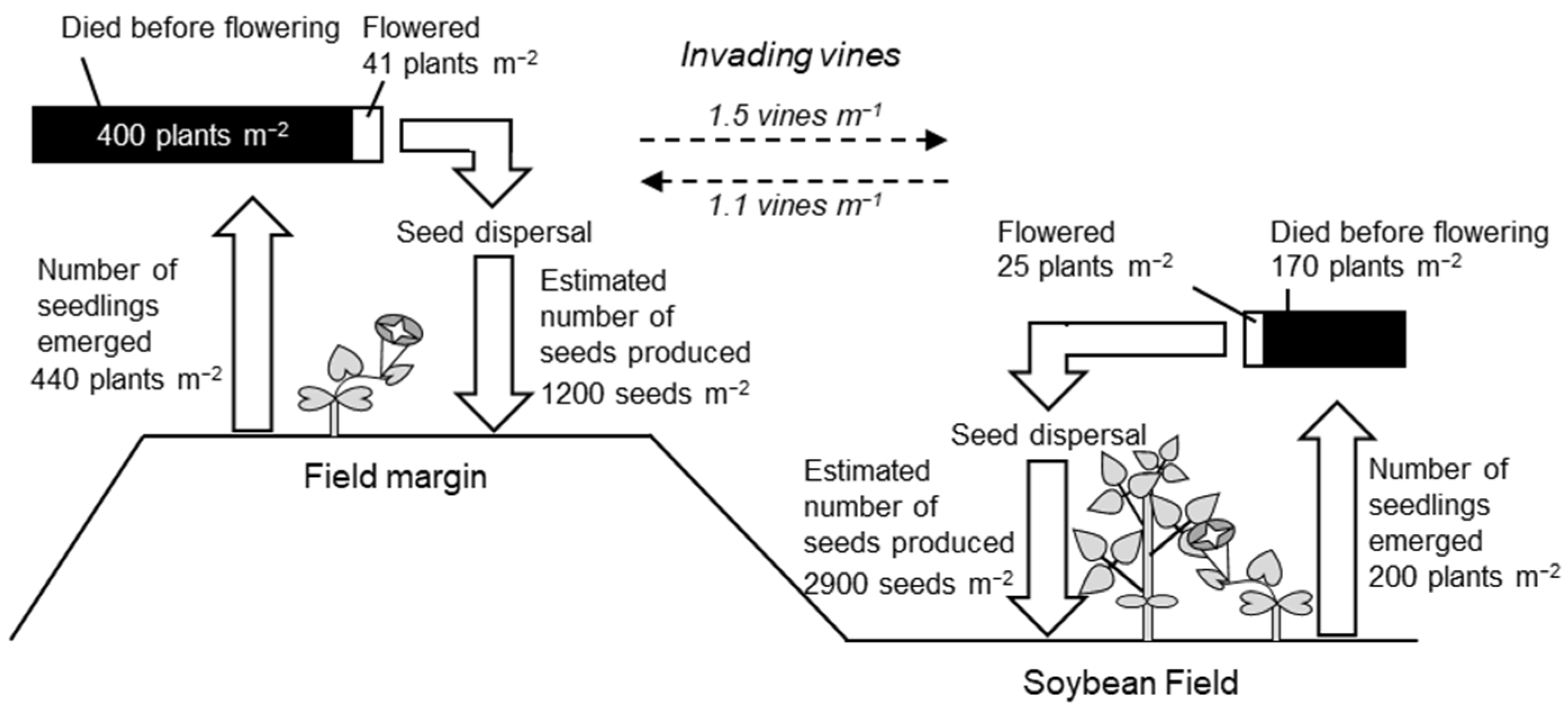Agronomy 12 02392 g005