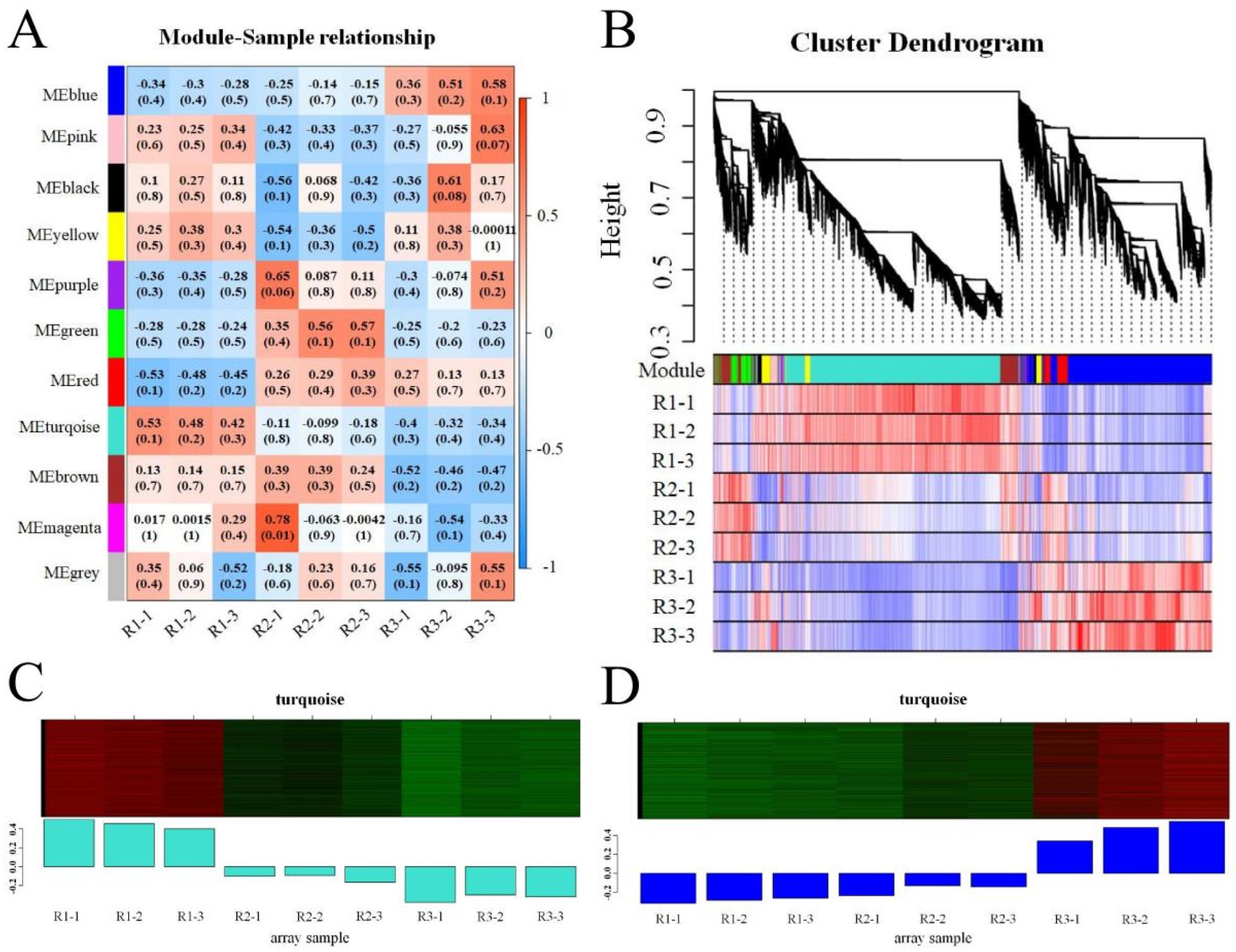 Agronomy 12 02396 g003