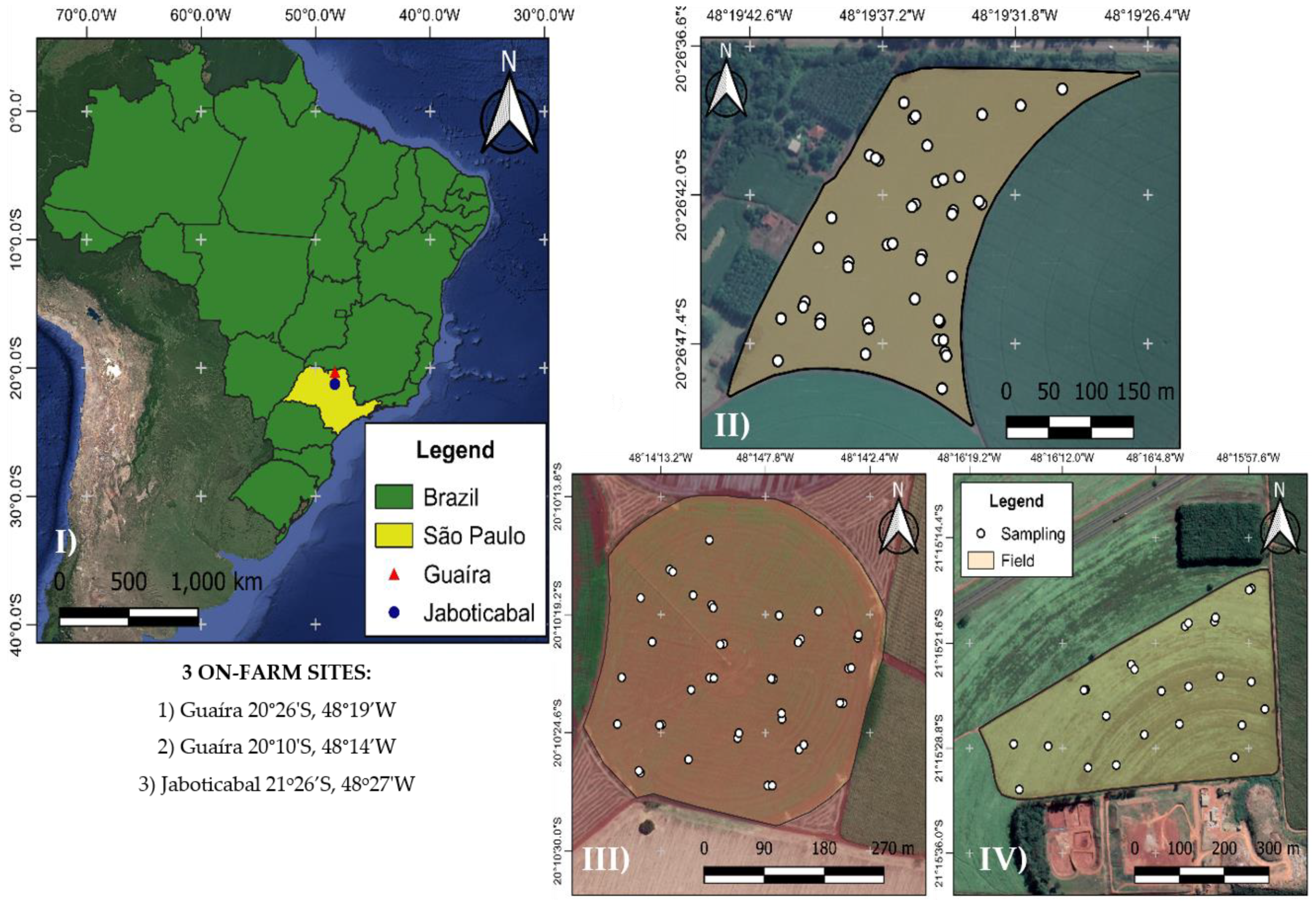 Agronomy 12 02404 g001