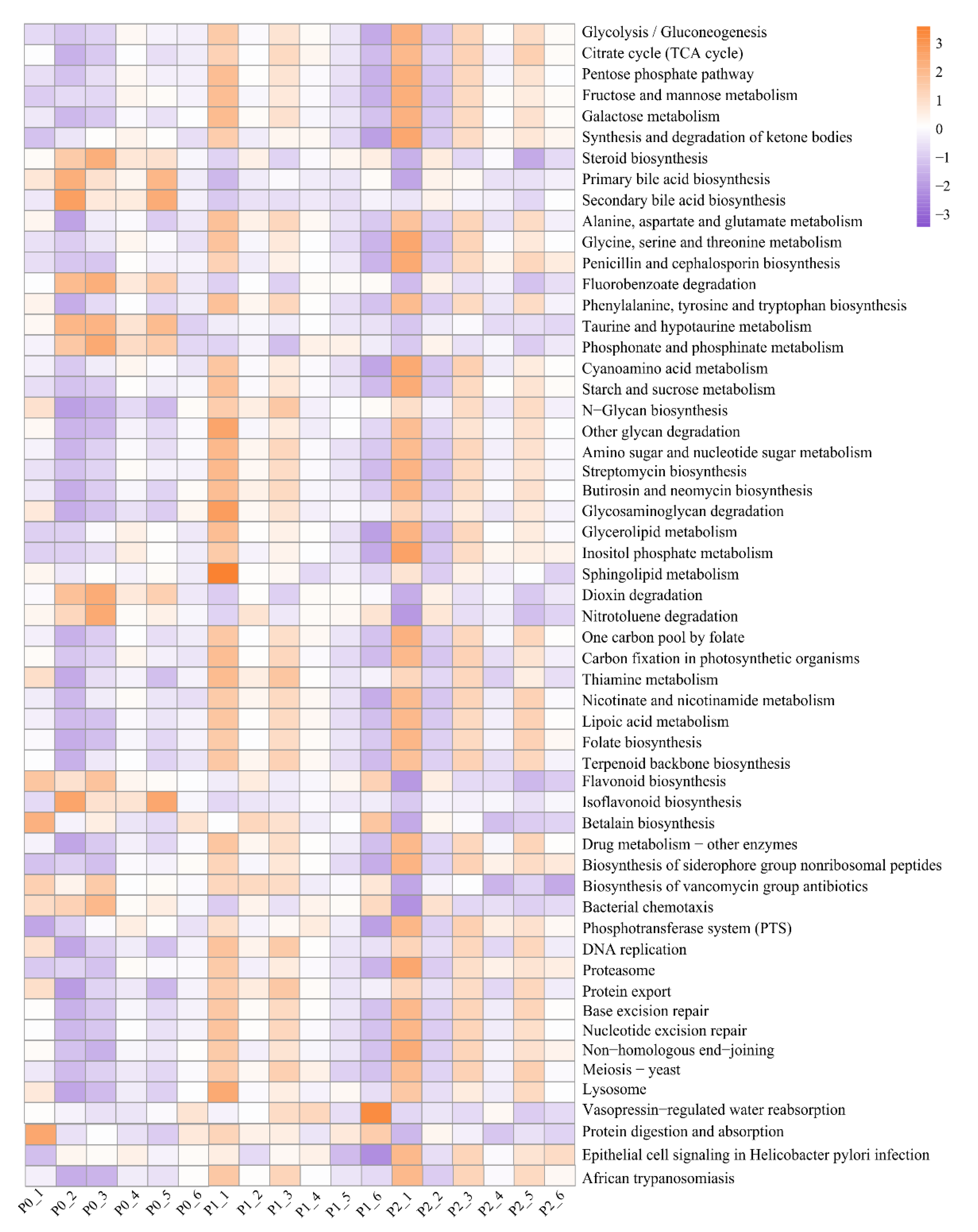 Agronomy 12 02405 g004