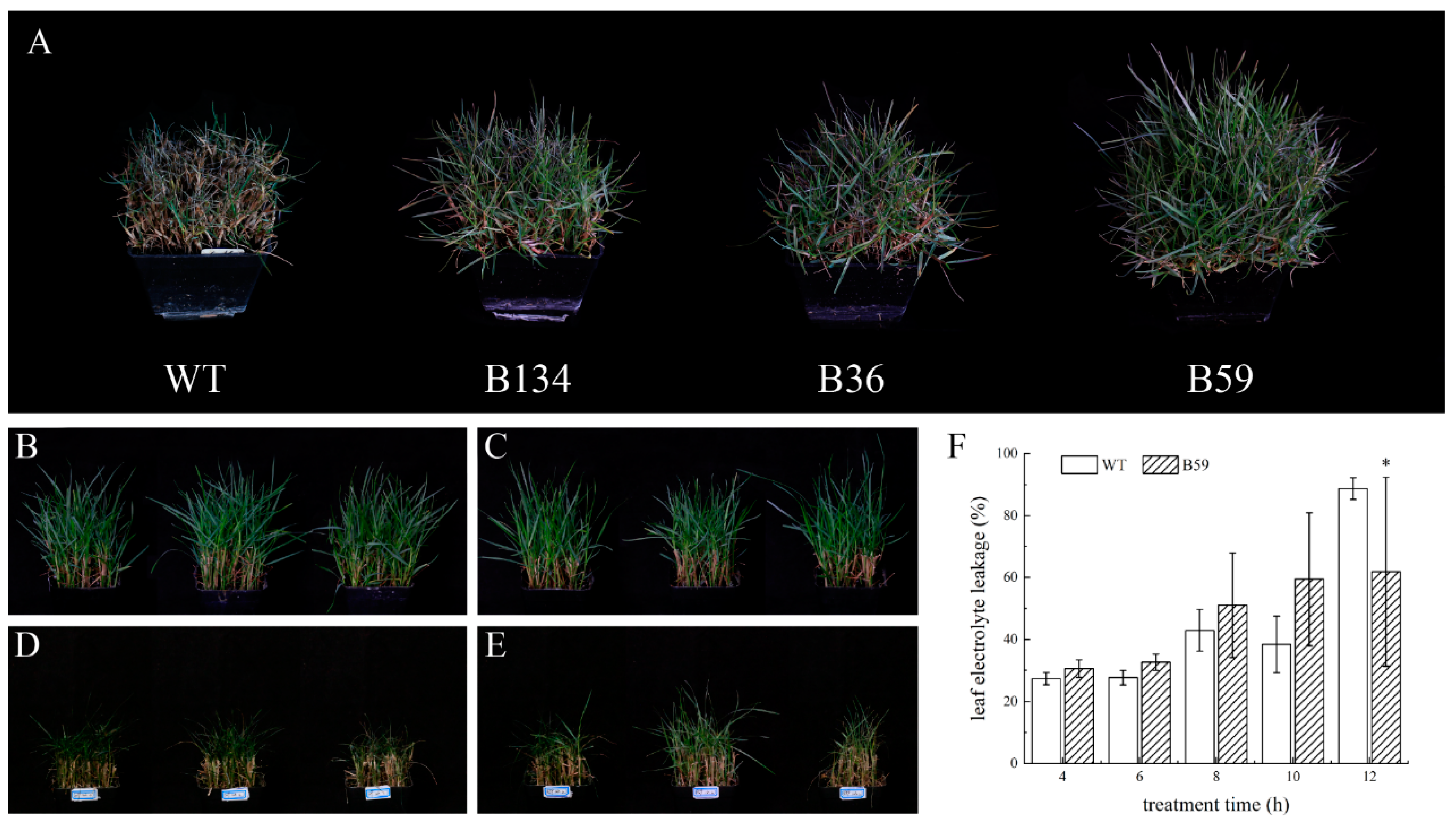 Agronomy 12 02408 g007
