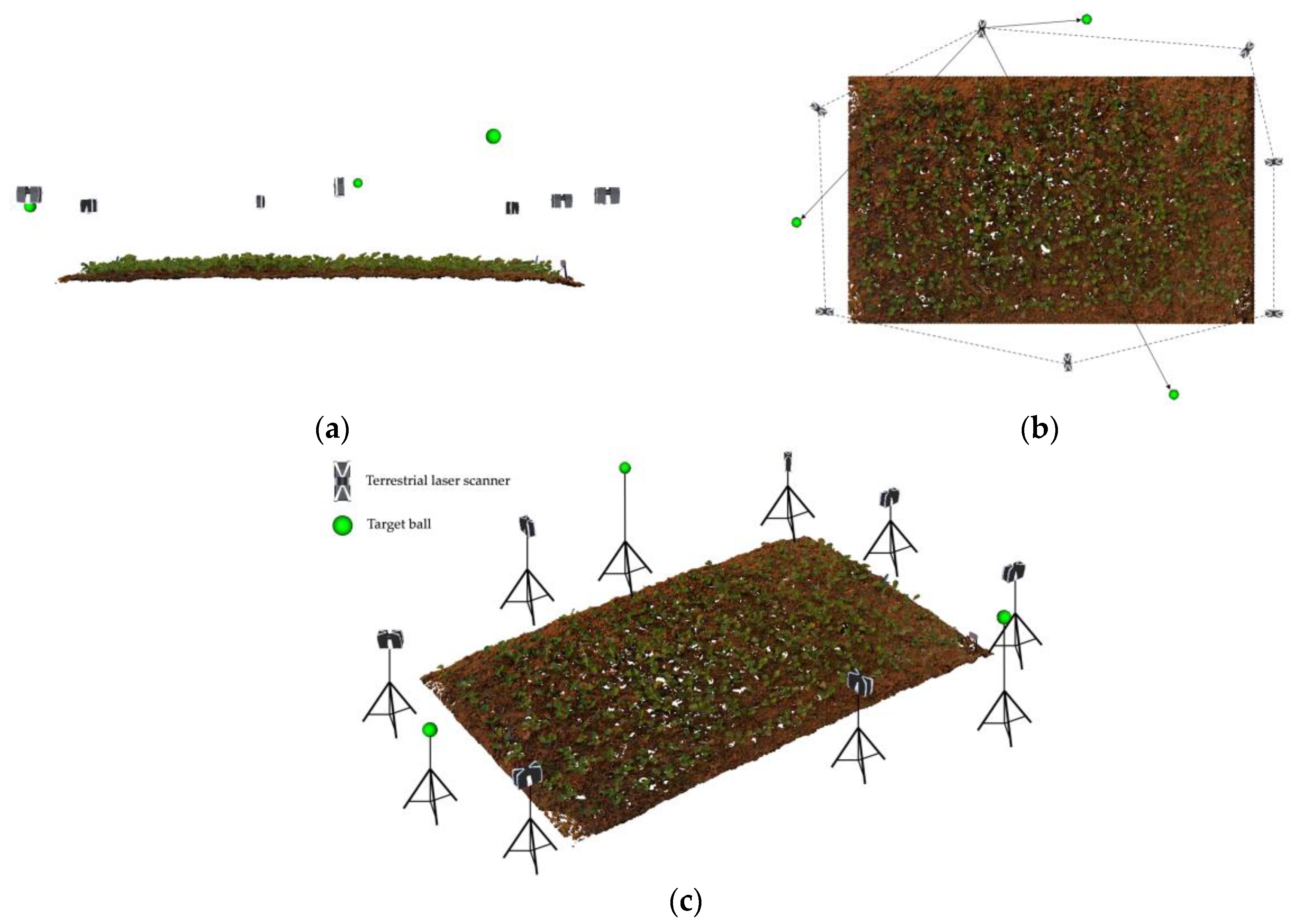 Agronomy 12 02409 g002