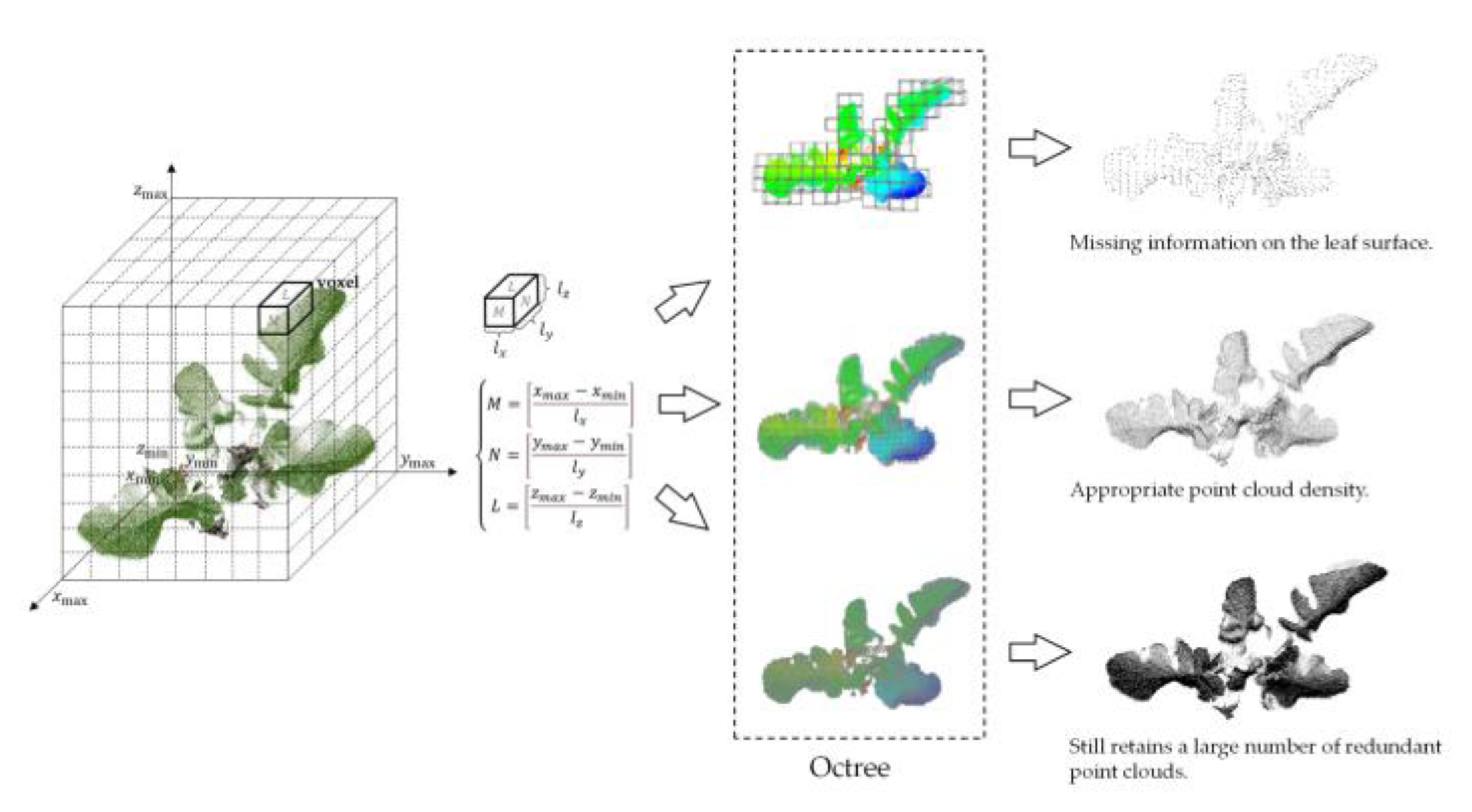 Agronomy 12 02409 g004