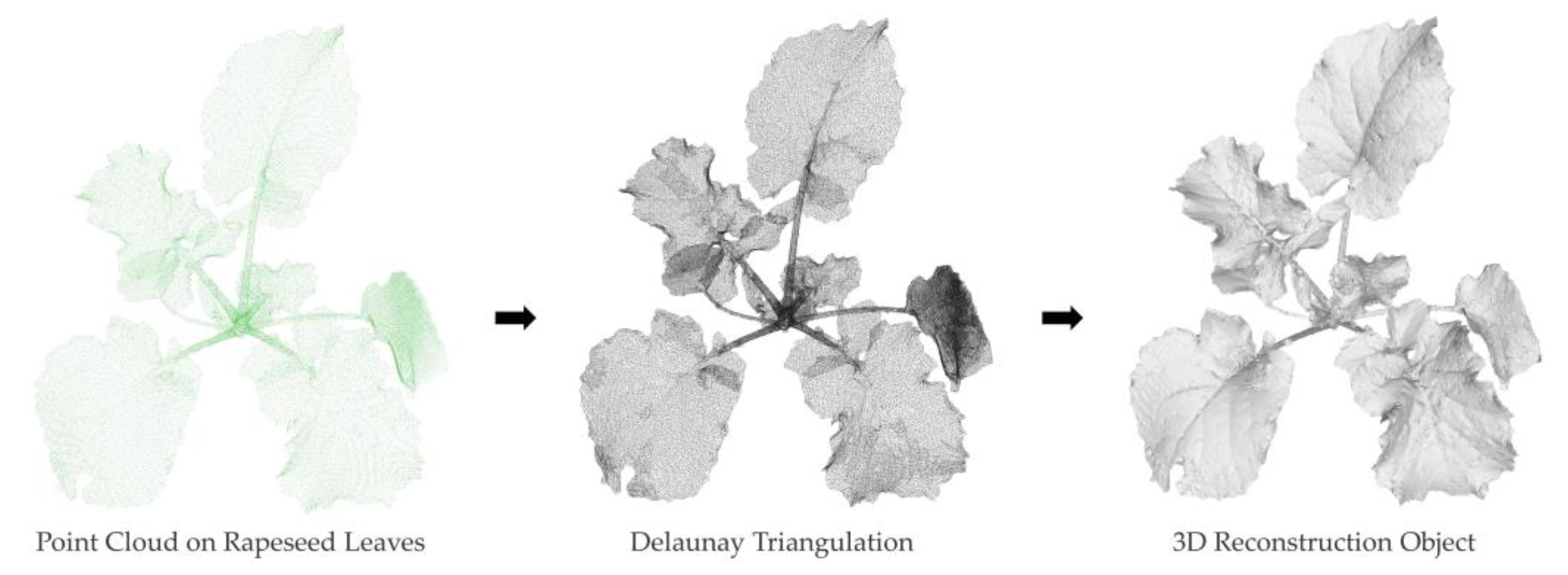 Agronomy 12 02409 g006