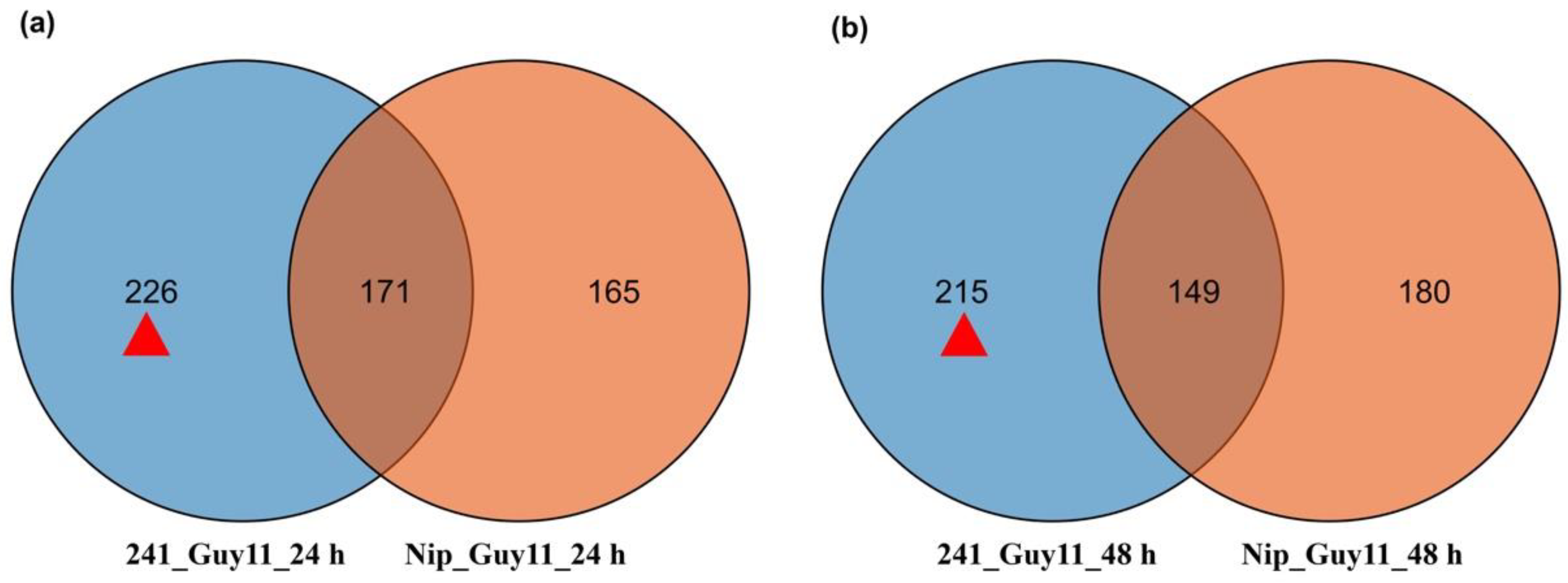 Agronomy 12 02414 g002 Agronomy 12 02414 g002