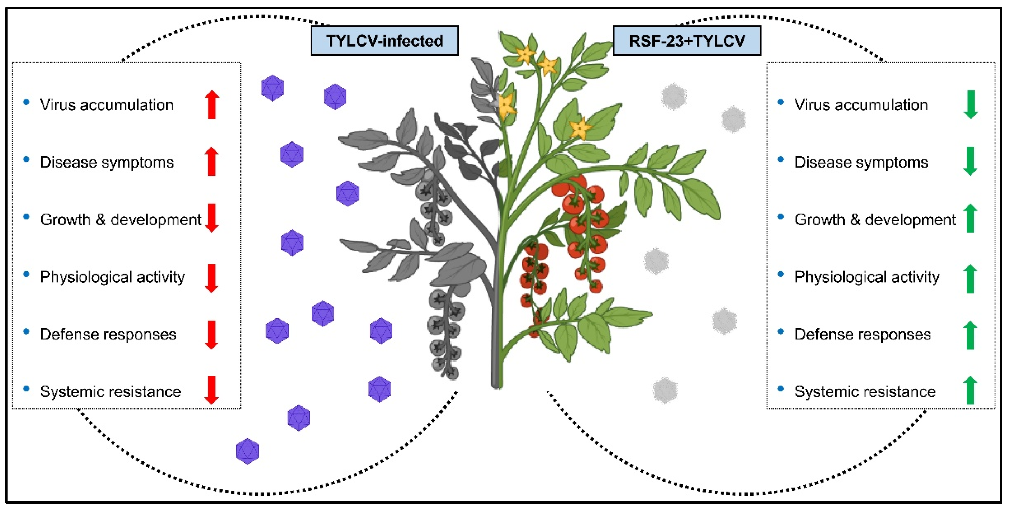 Agronomy 12 02419 g008 Agronomy 12 02419 g008