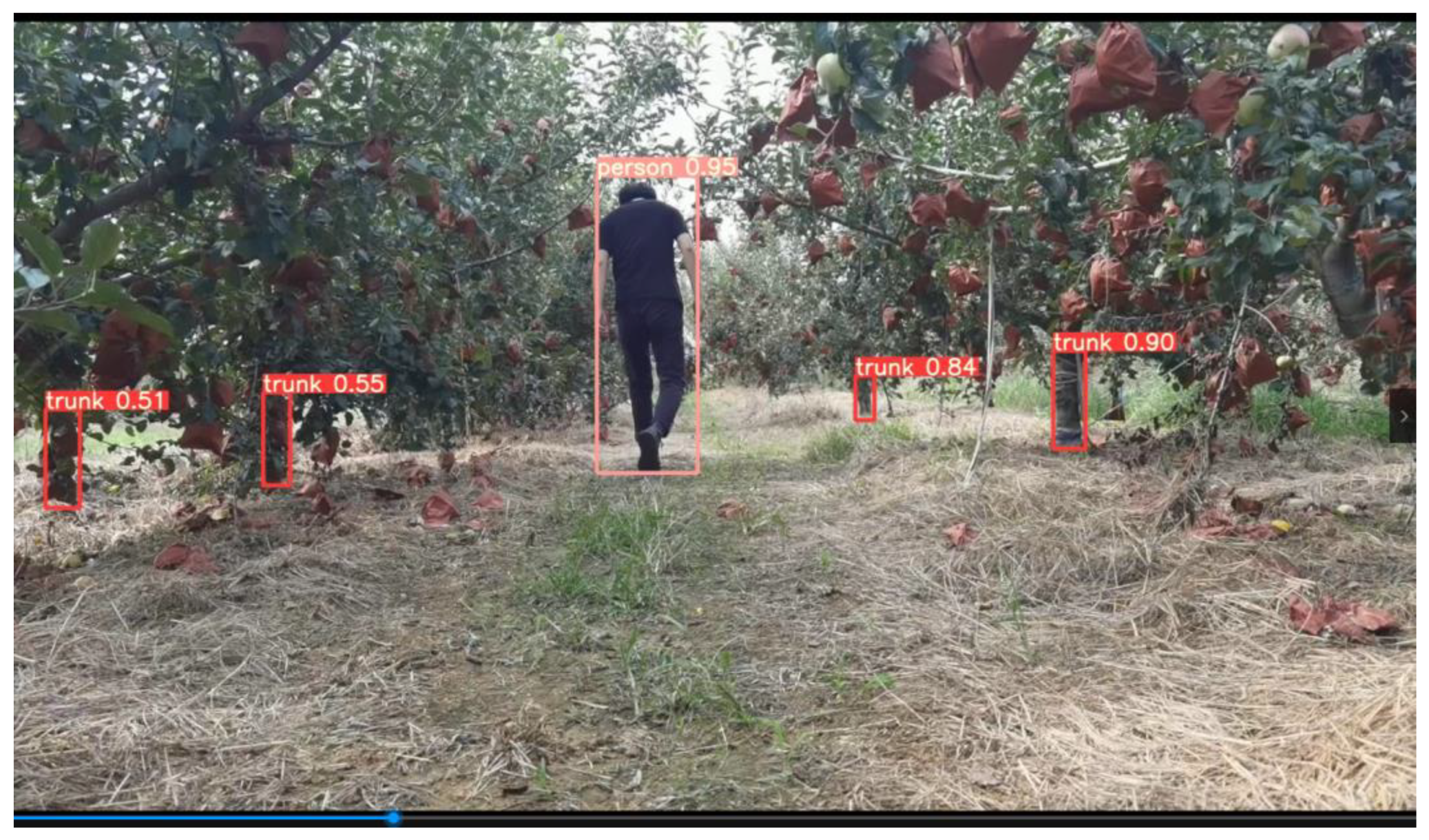 Agronomy 12 02427 g013