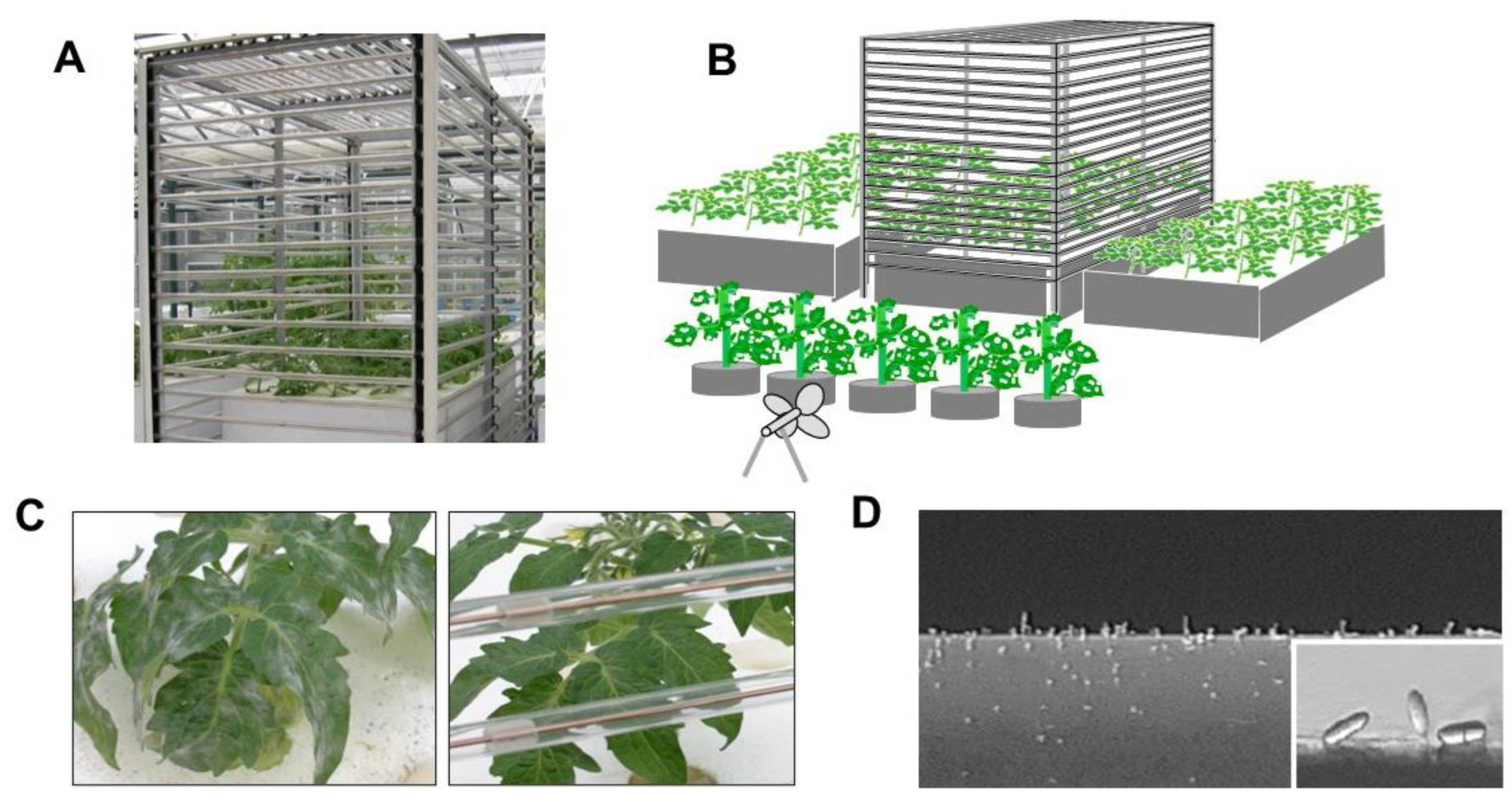 Agronomy 12 02443 g005 Agronomy 12 02443 g005