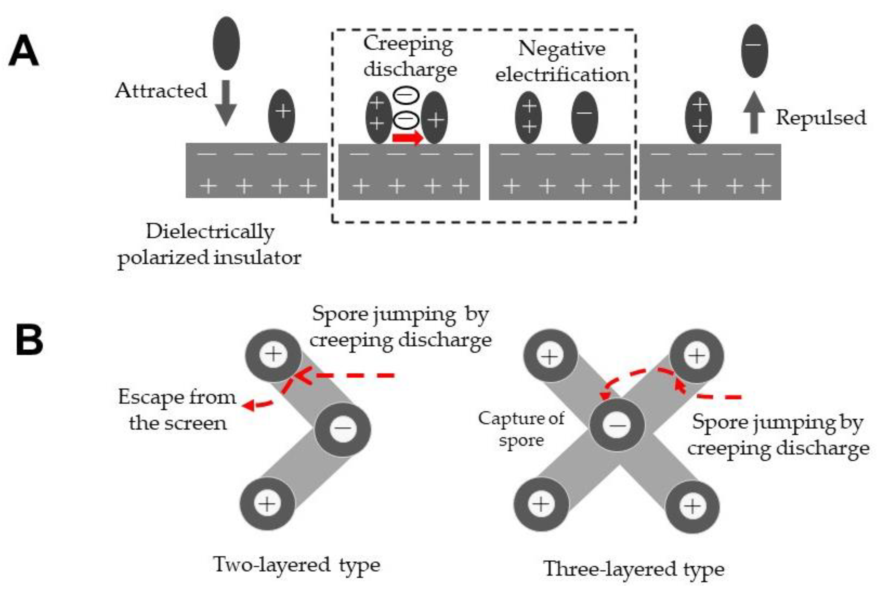Agronomy 12 02443 g007 Agronomy 12 02443 g007